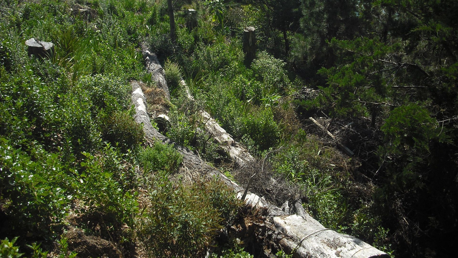Environmental banner