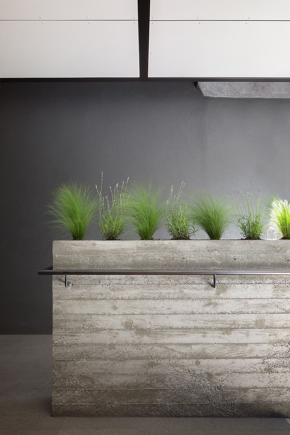 PLANTER.jpg