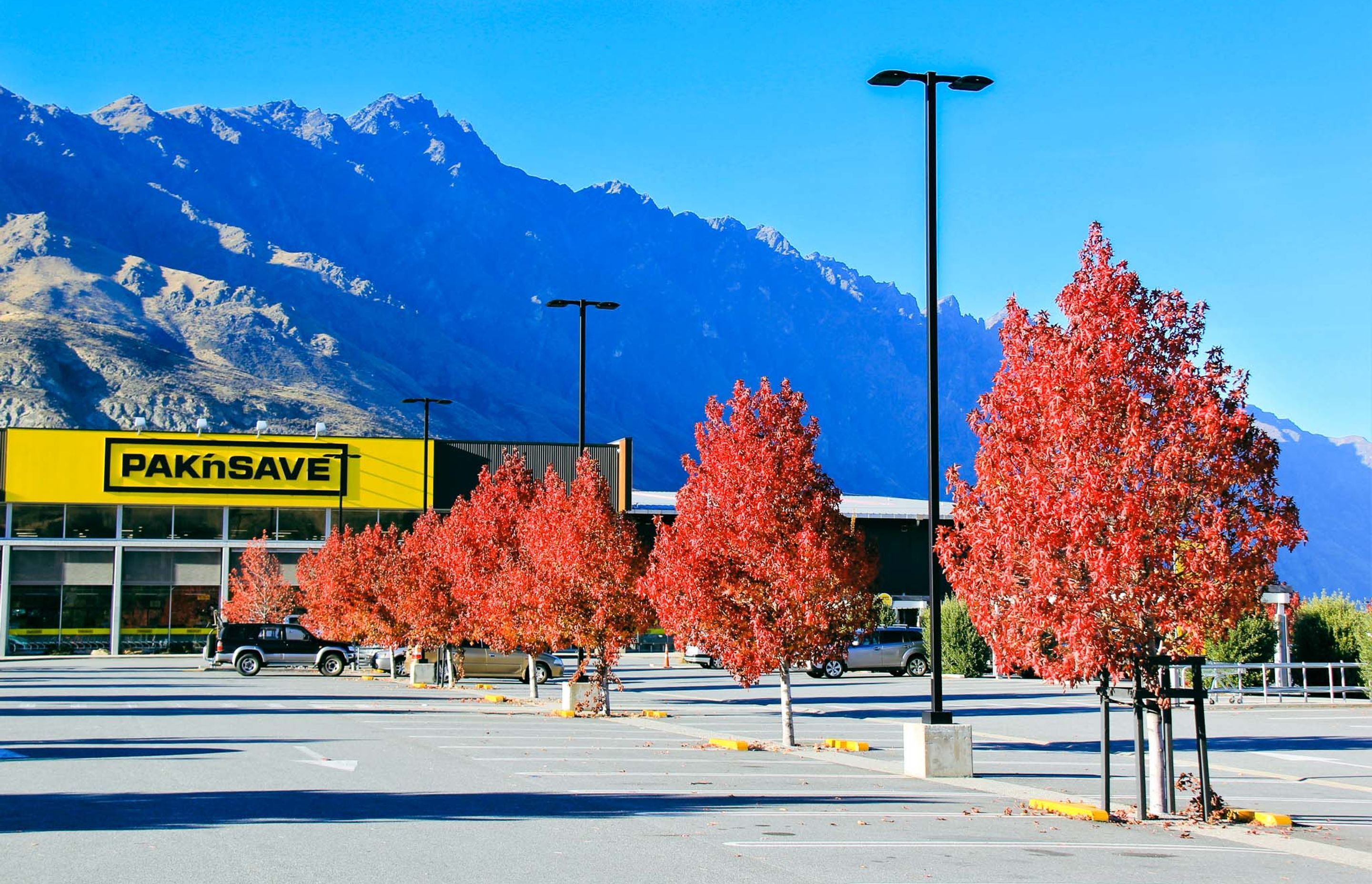 Pakn-Save-Frankton05.jpg