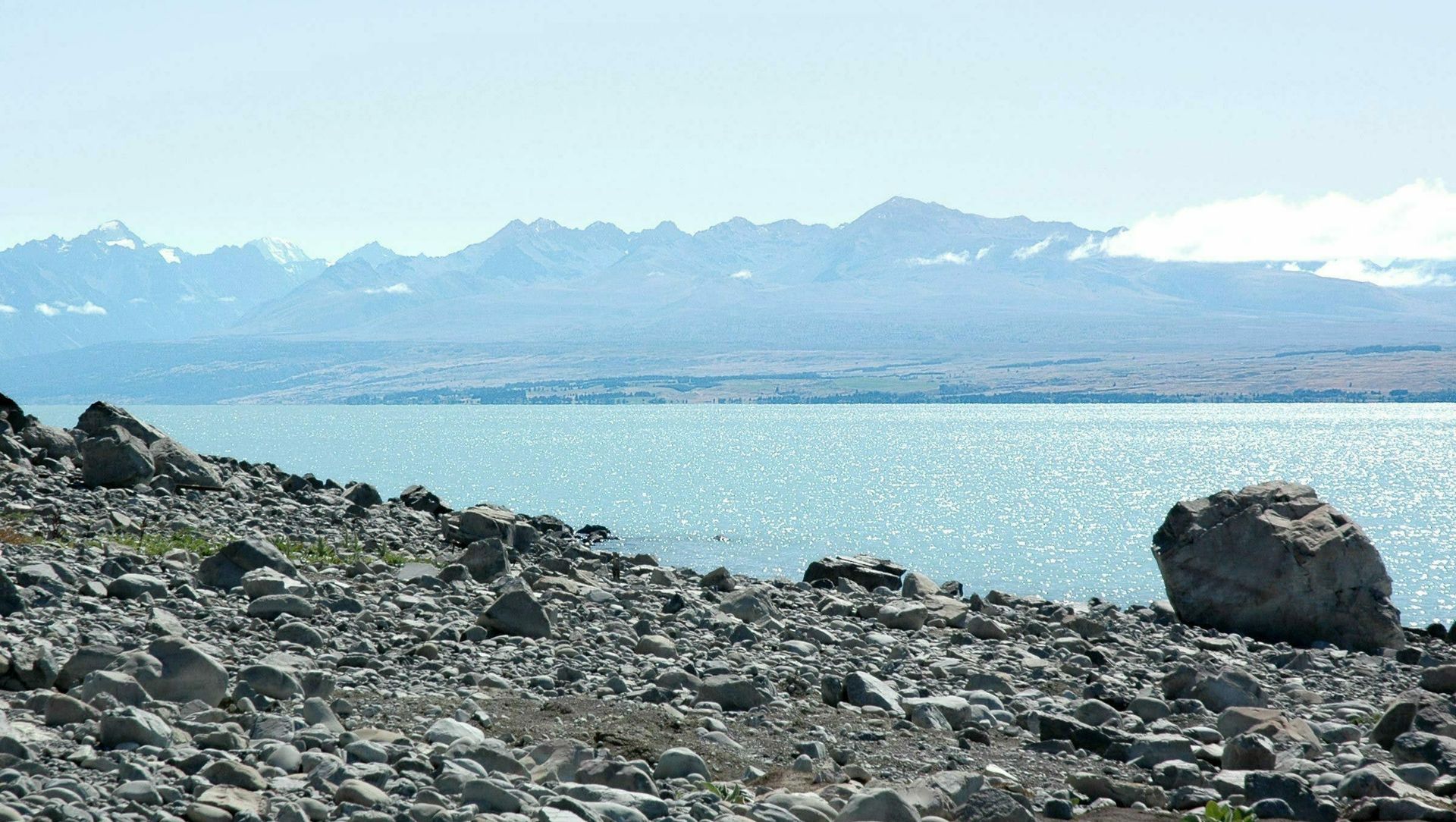 Lake Pukaki banner