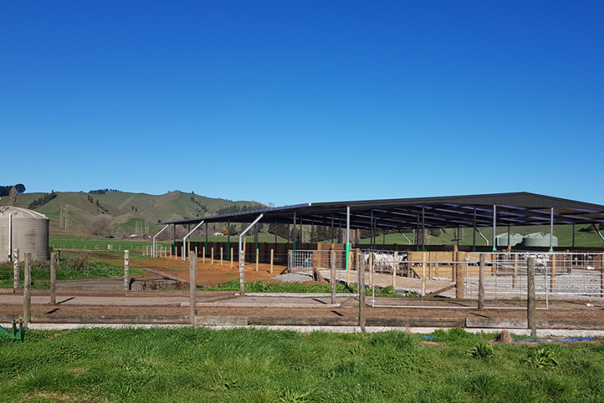 Pukerimu Dairy Goat Farm