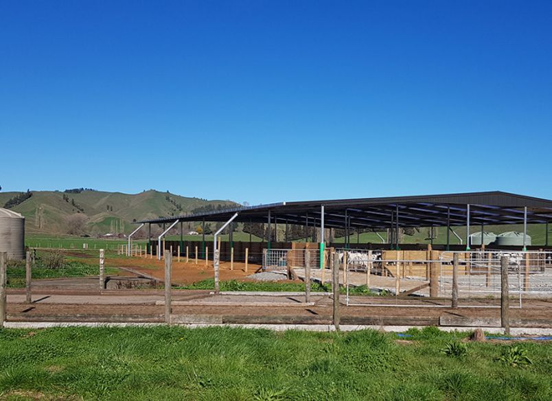 Pukerimu Dairy Goat Farm