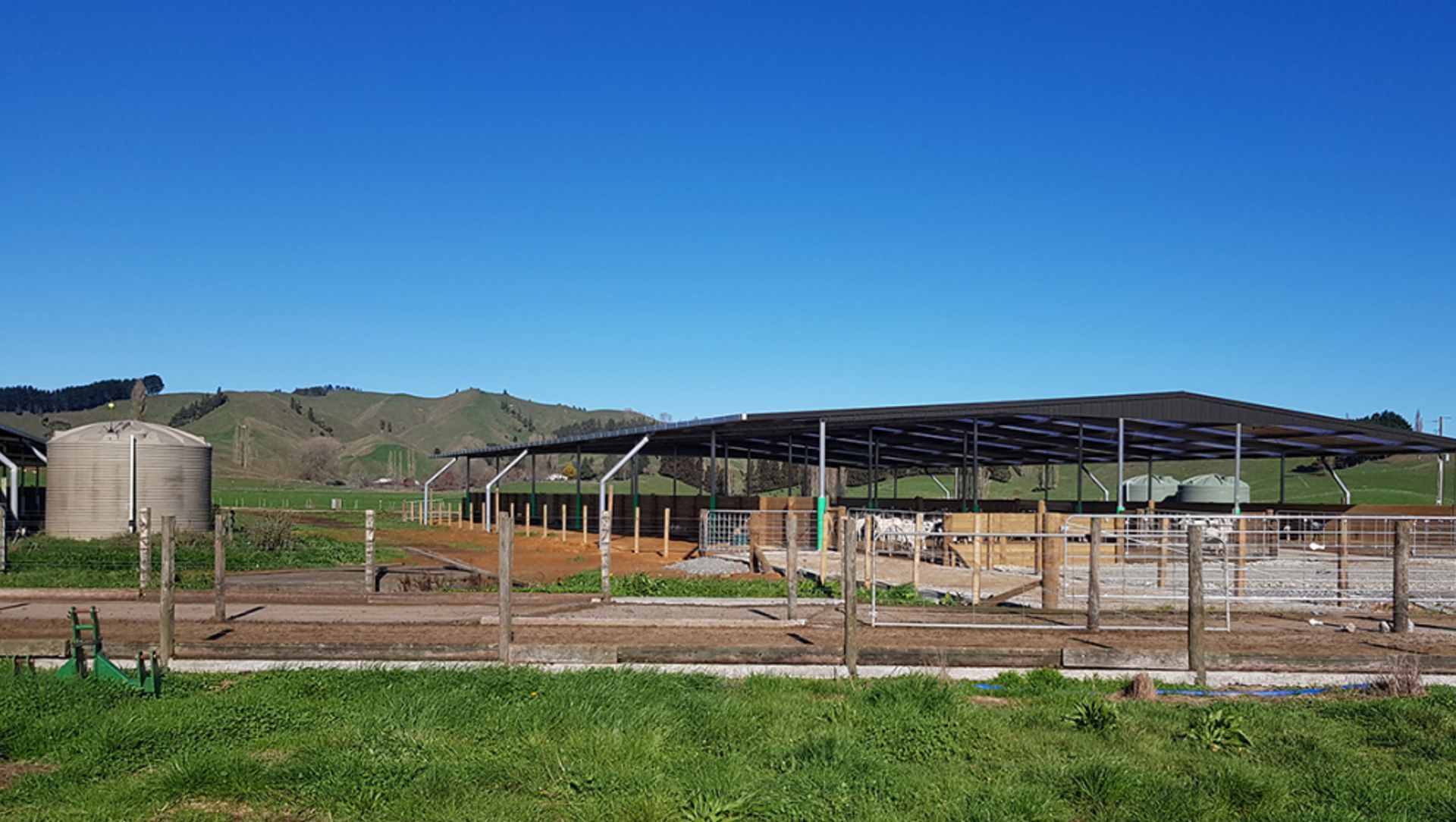 Pukerimu Dairy Goat Farm banner