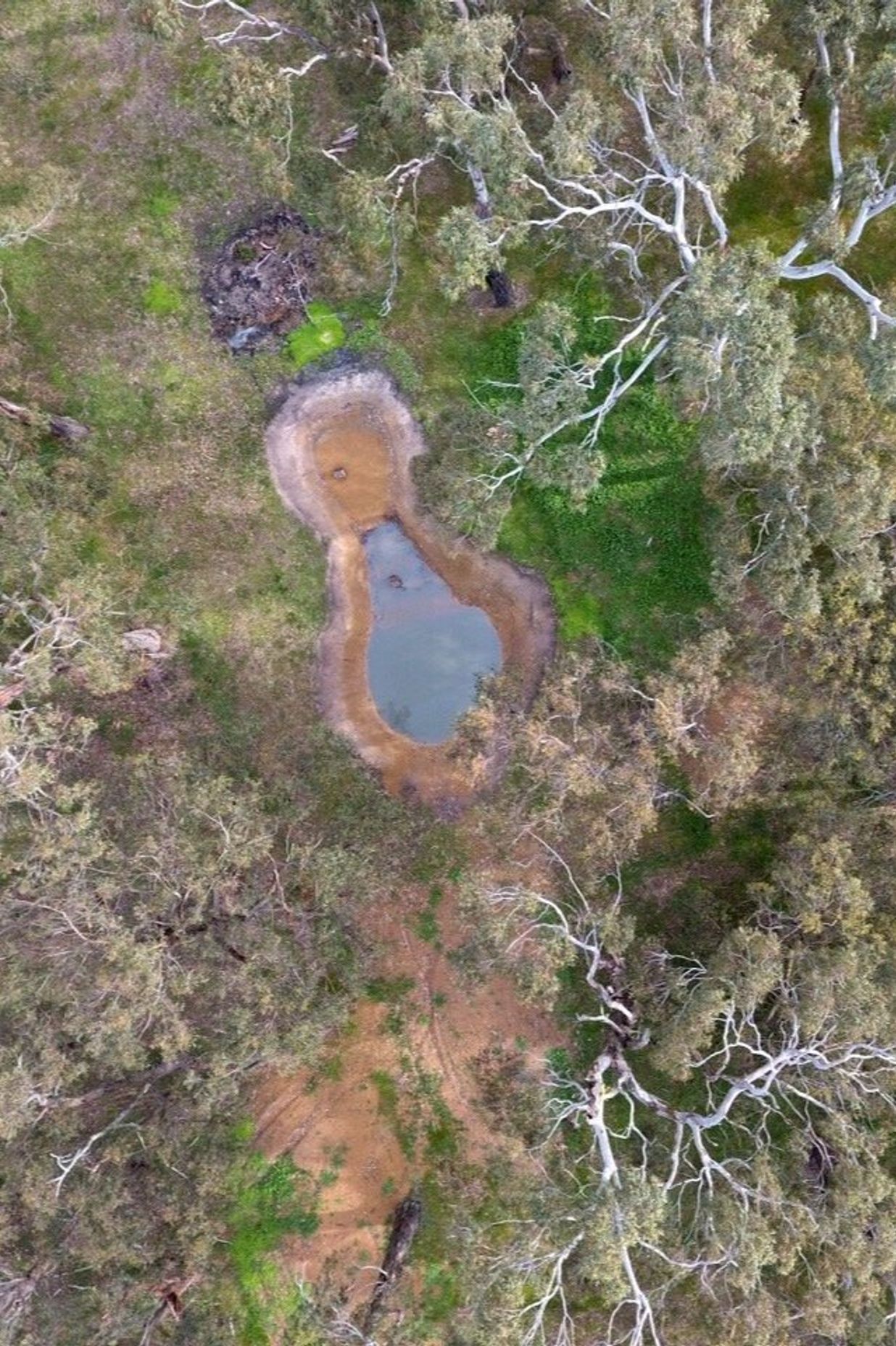RAMSDENWETLAND328129.jpg