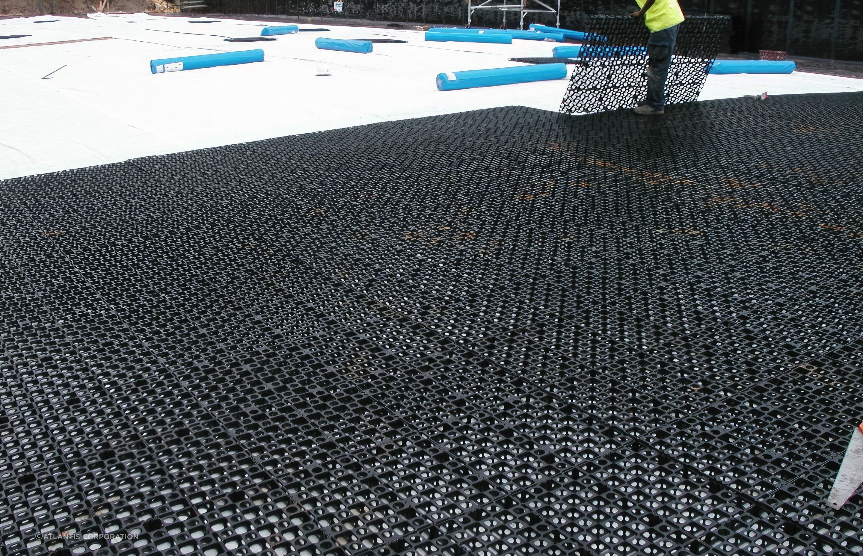 ScaledP1010177-standard-scale-200x.jpg