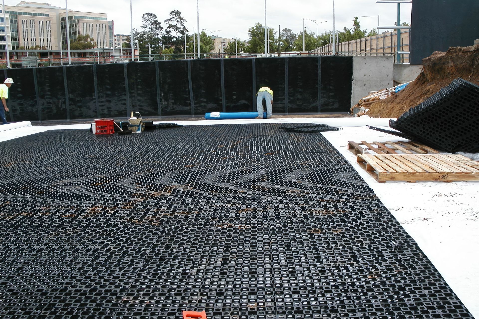 ScaledP1010179-standard-scale-200x.jpg