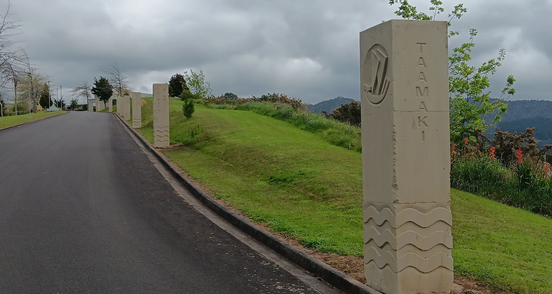 Hinuera Carvings for Waikato Tainui banner