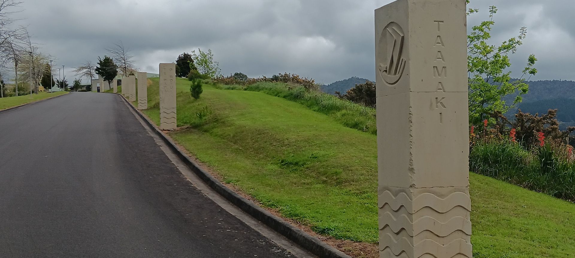 Hinuera Carvings for Waikato Tainui banner