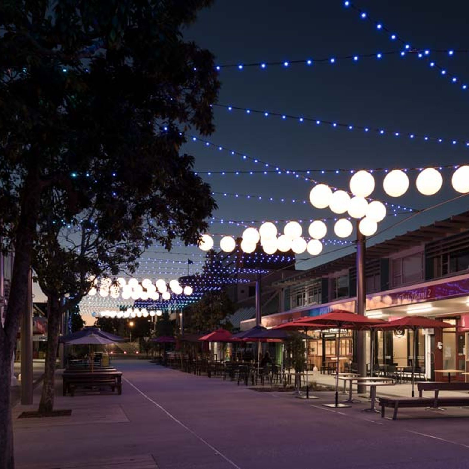 Wharf-Street-Tauranga-NZ-Catenary-Lighting-Mark-Scowen-2-2.jpg