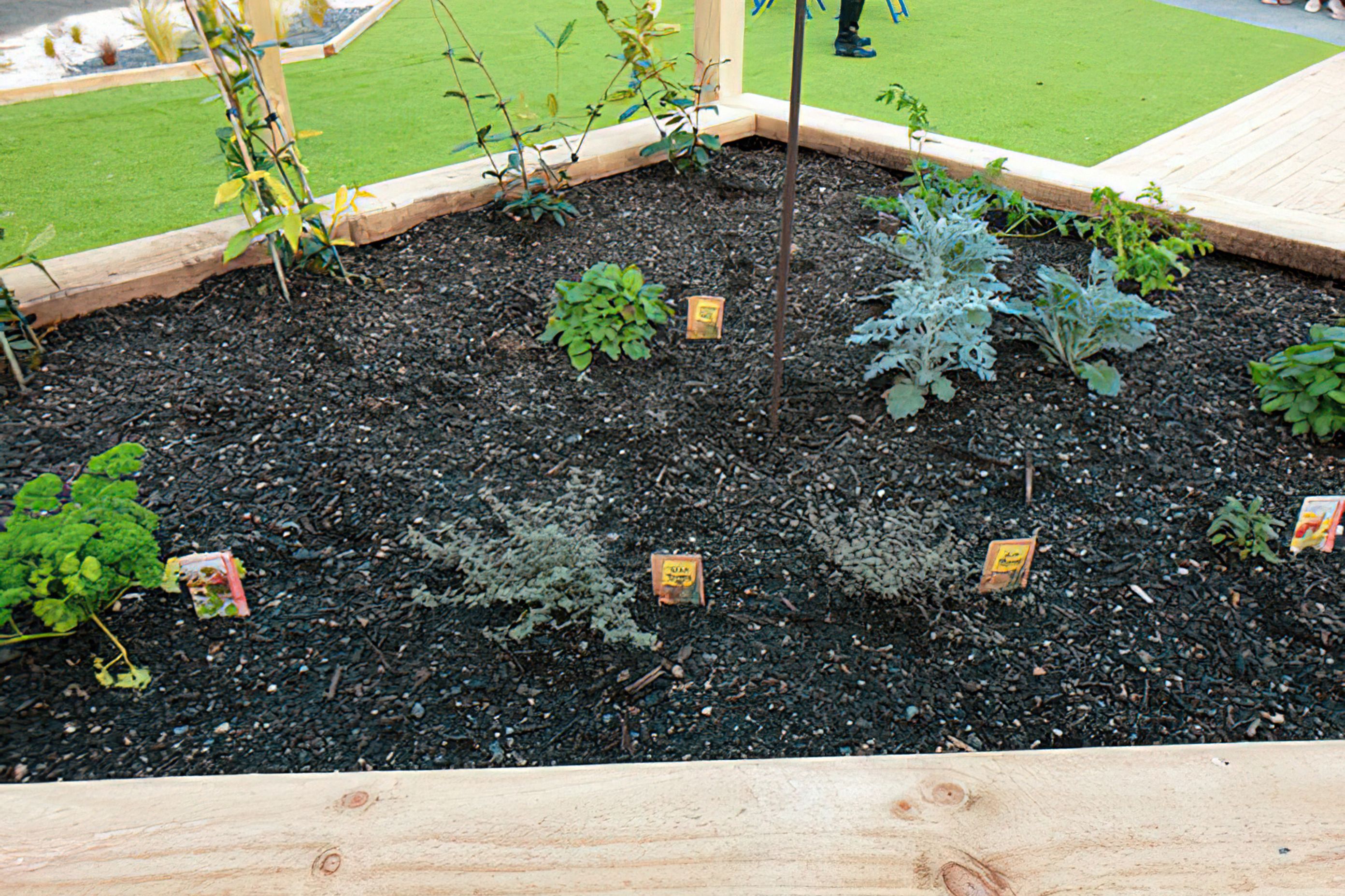 Greenvalley Dementia Garden