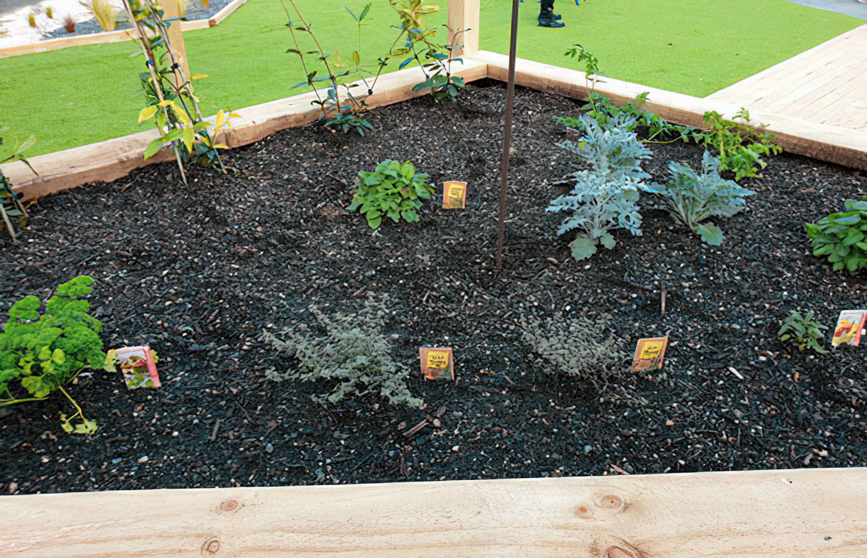 Greenvalley Dementia Garden
