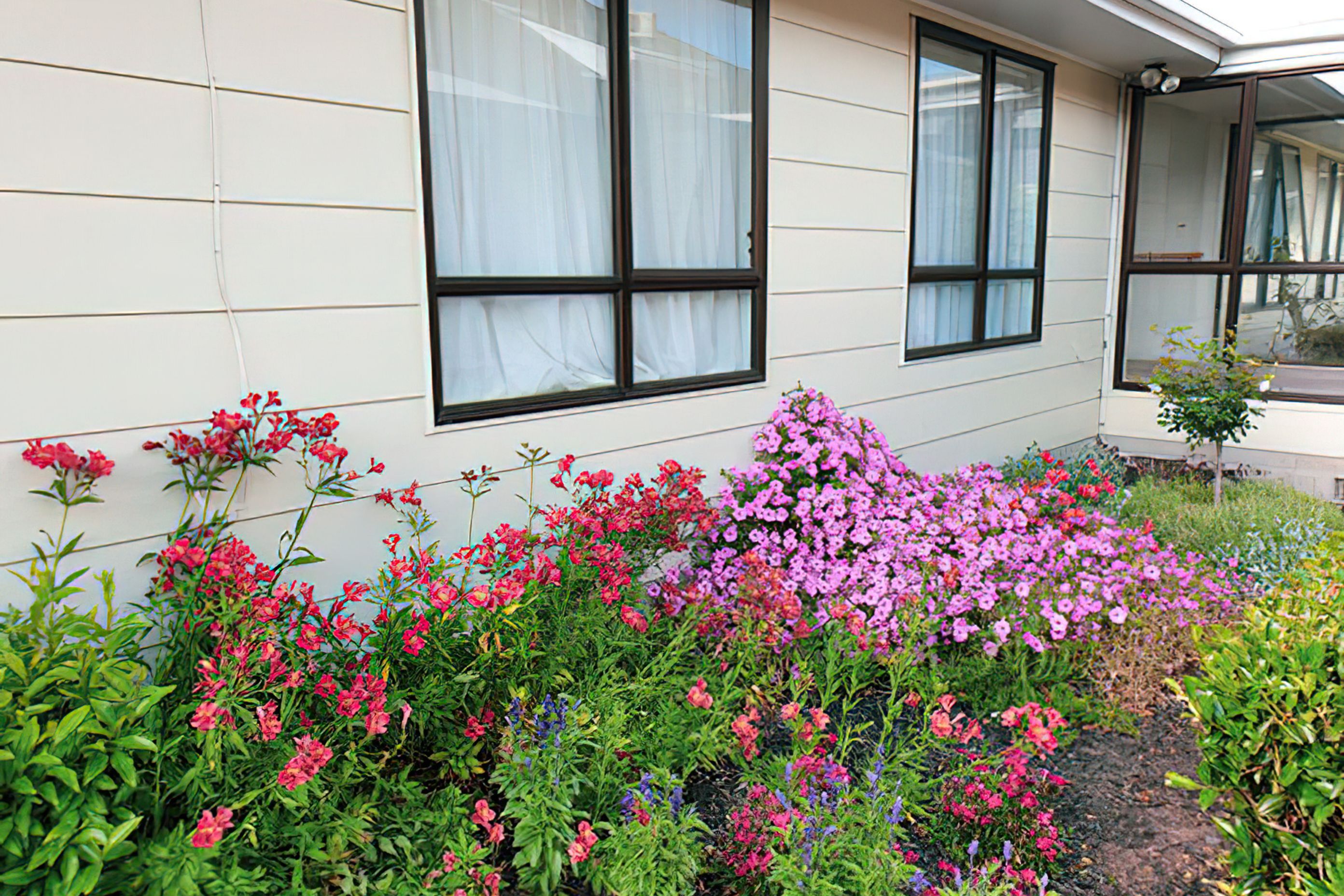 Takanini Courtyard