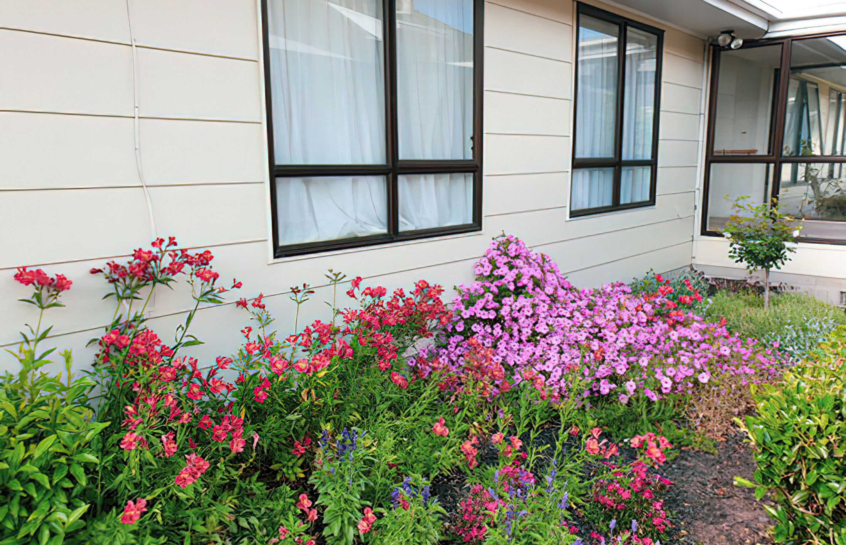 Takanini Courtyard