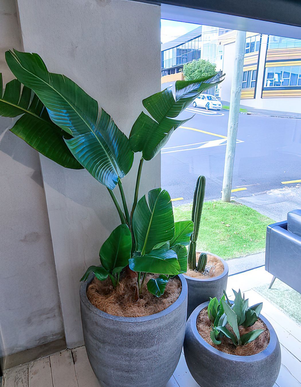 Previously Unavailable