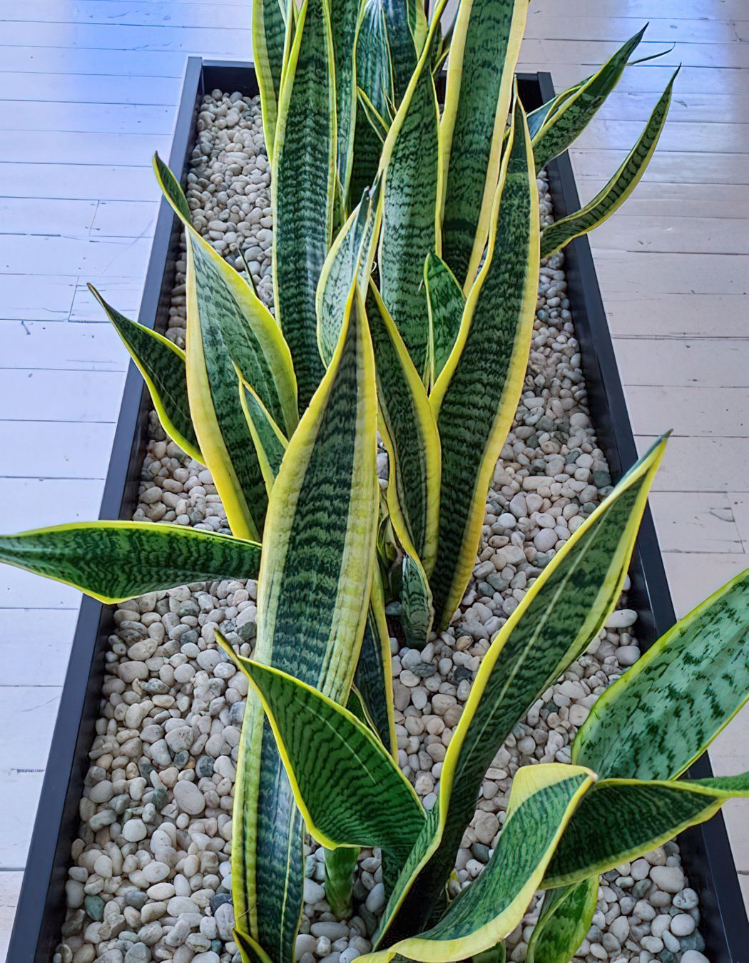 Previously Unavailable