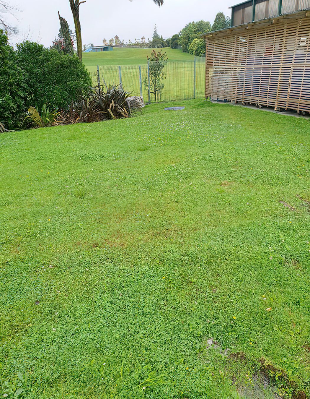 Before