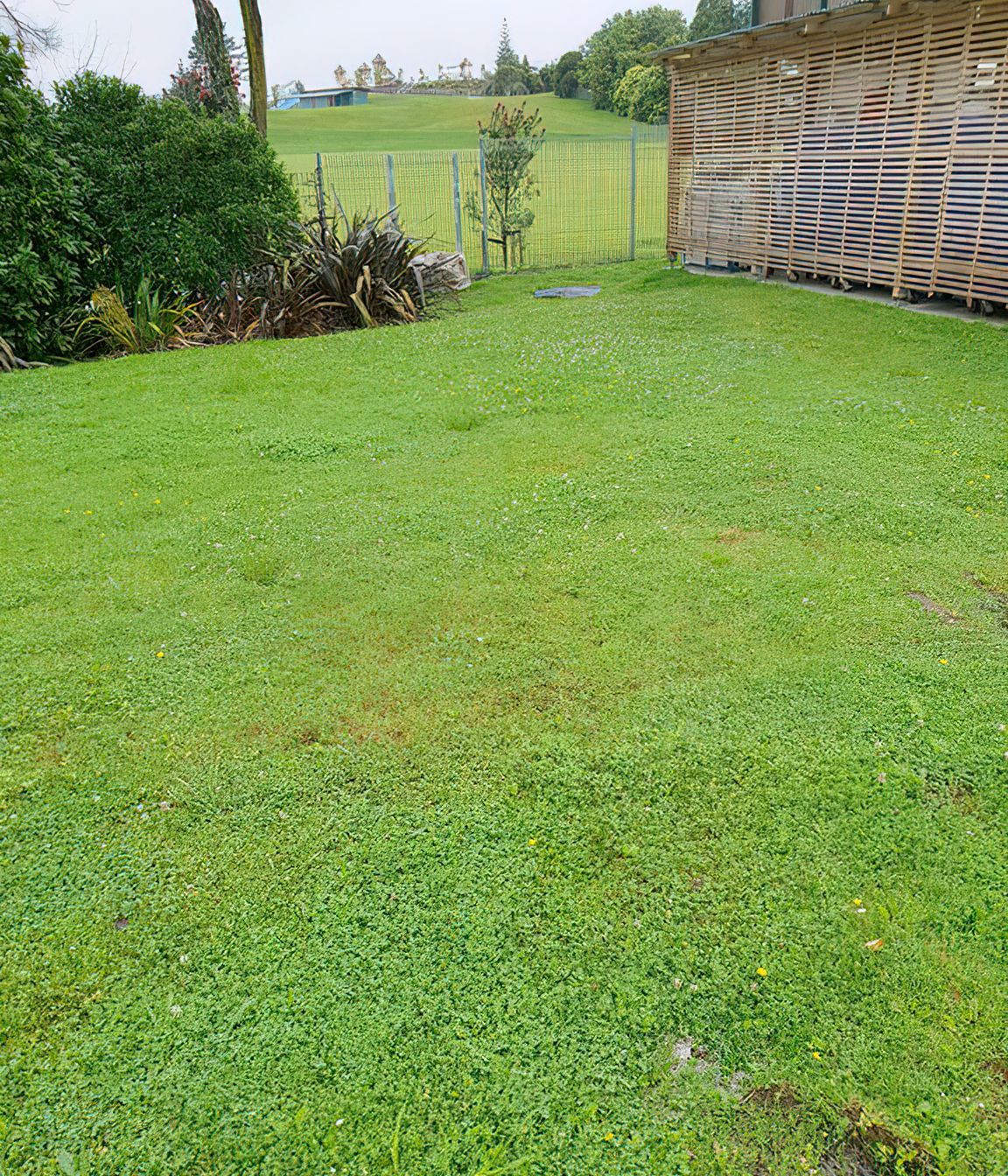 Before