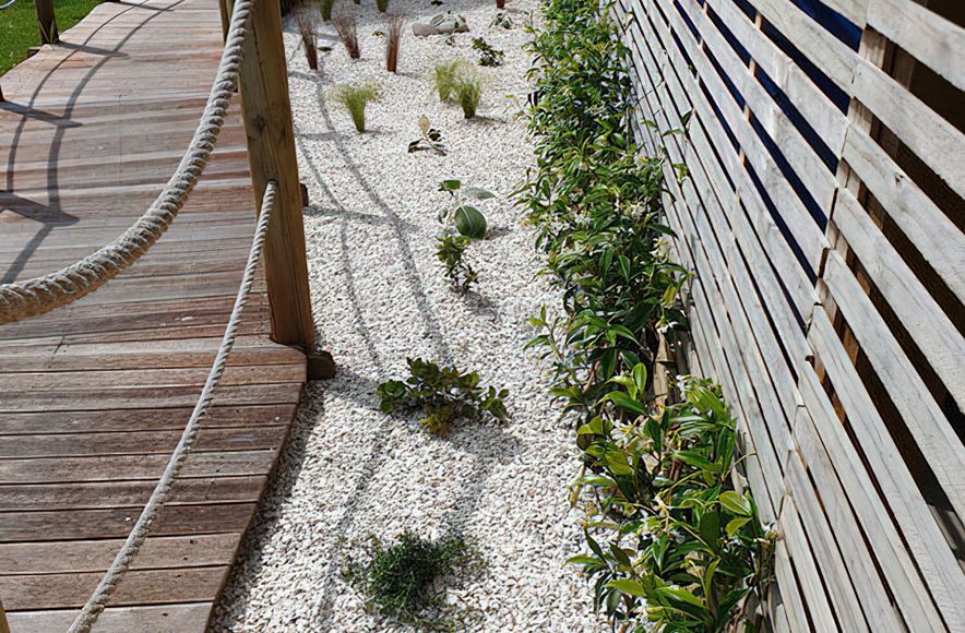 Coastal Garden