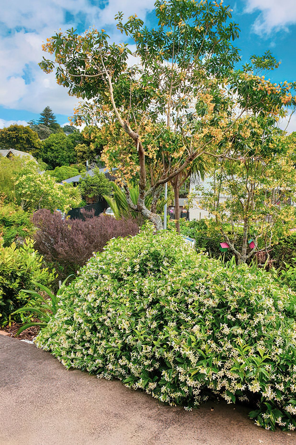 Greenvalley Dementia Garden