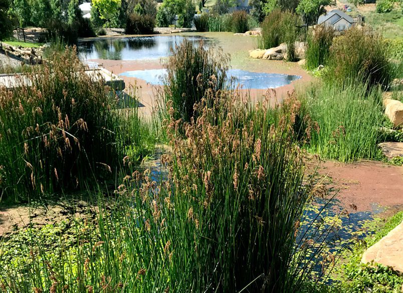 Plenty Valley