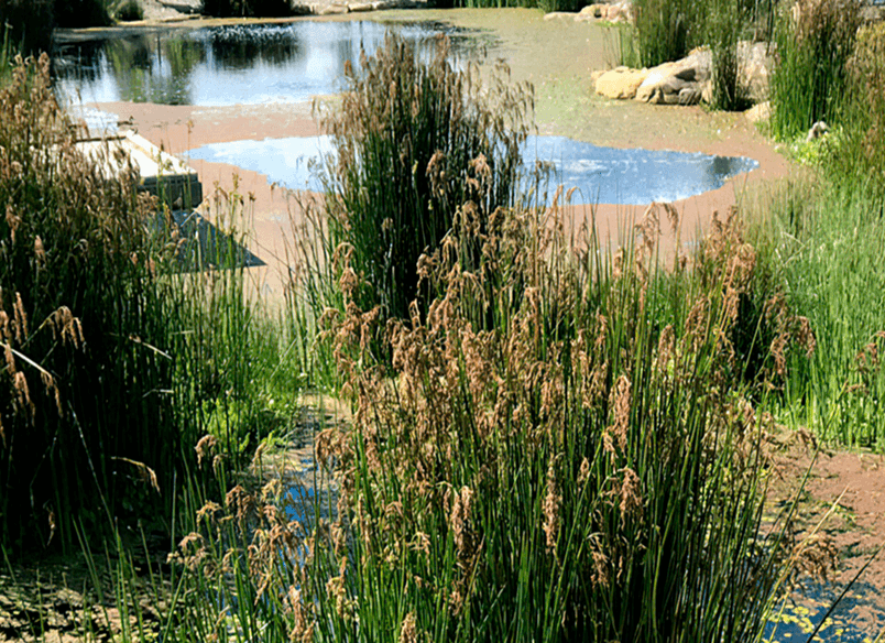 Plenty Valley