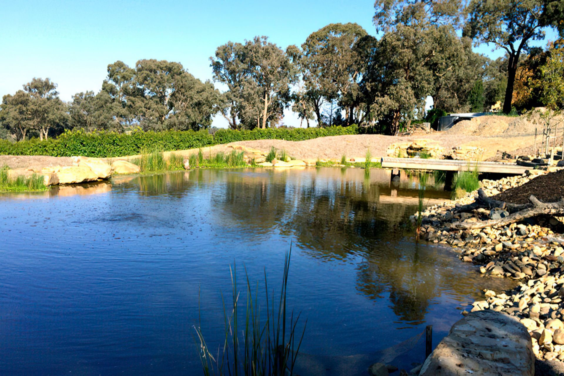 buildmewatergarden4melbourne-gigapixel-standard-width-1440px.jpg