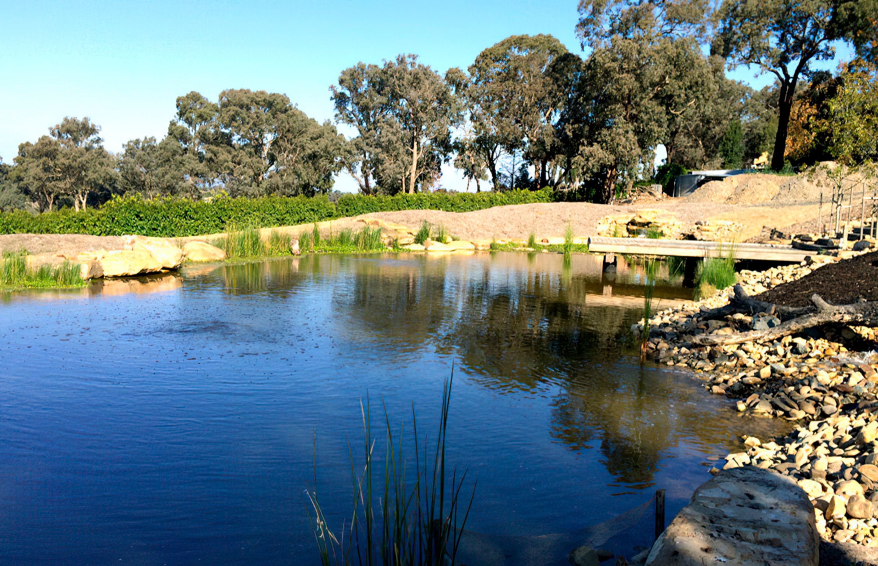 buildmewatergarden4melbourne-gigapixel-standard-width-1440px.jpg