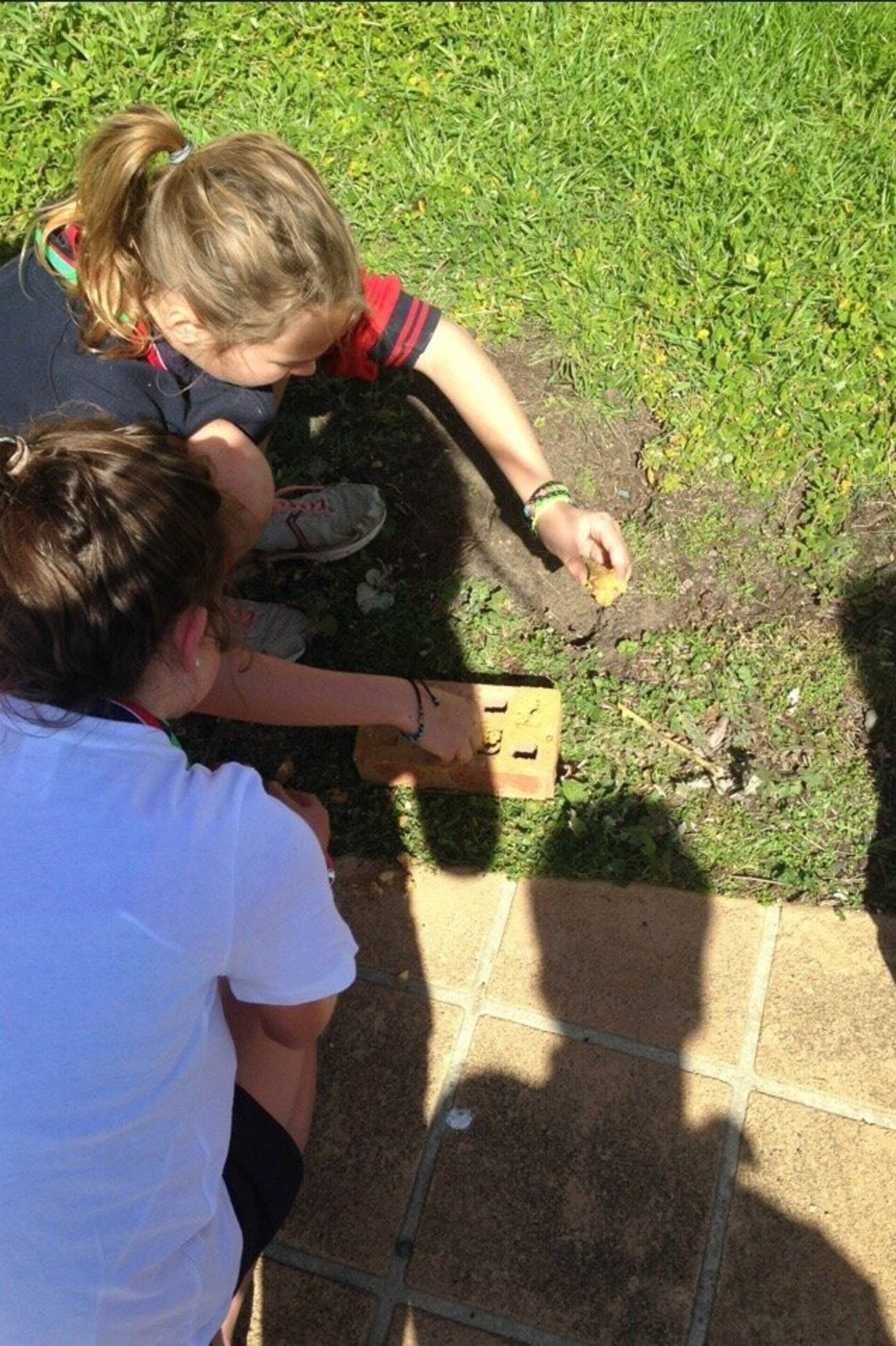 environmentalworkshopforschoolsaustralia.jpg