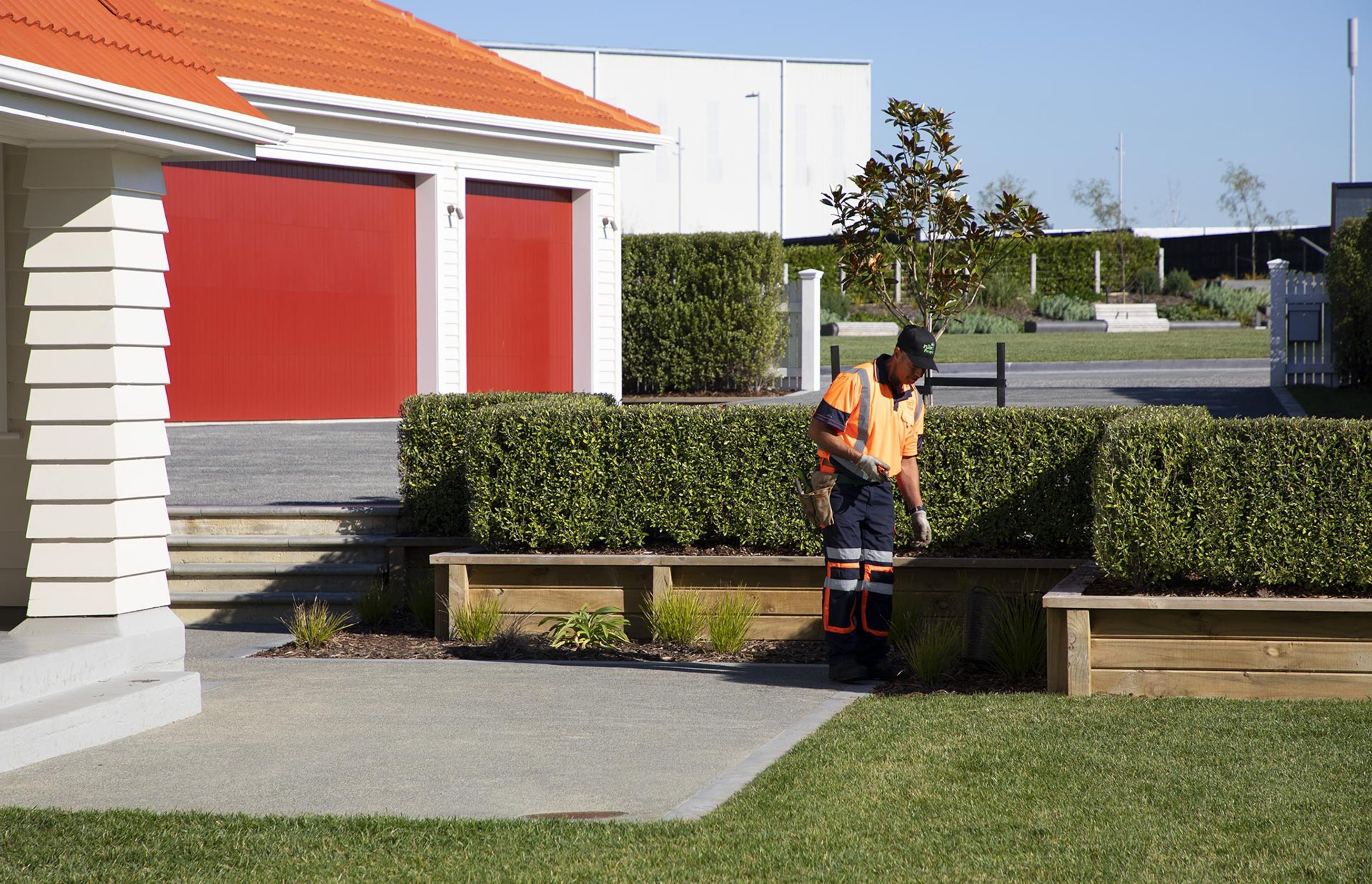 hobsonville-point-commercial-garden-maintenance-182A4382.jpg