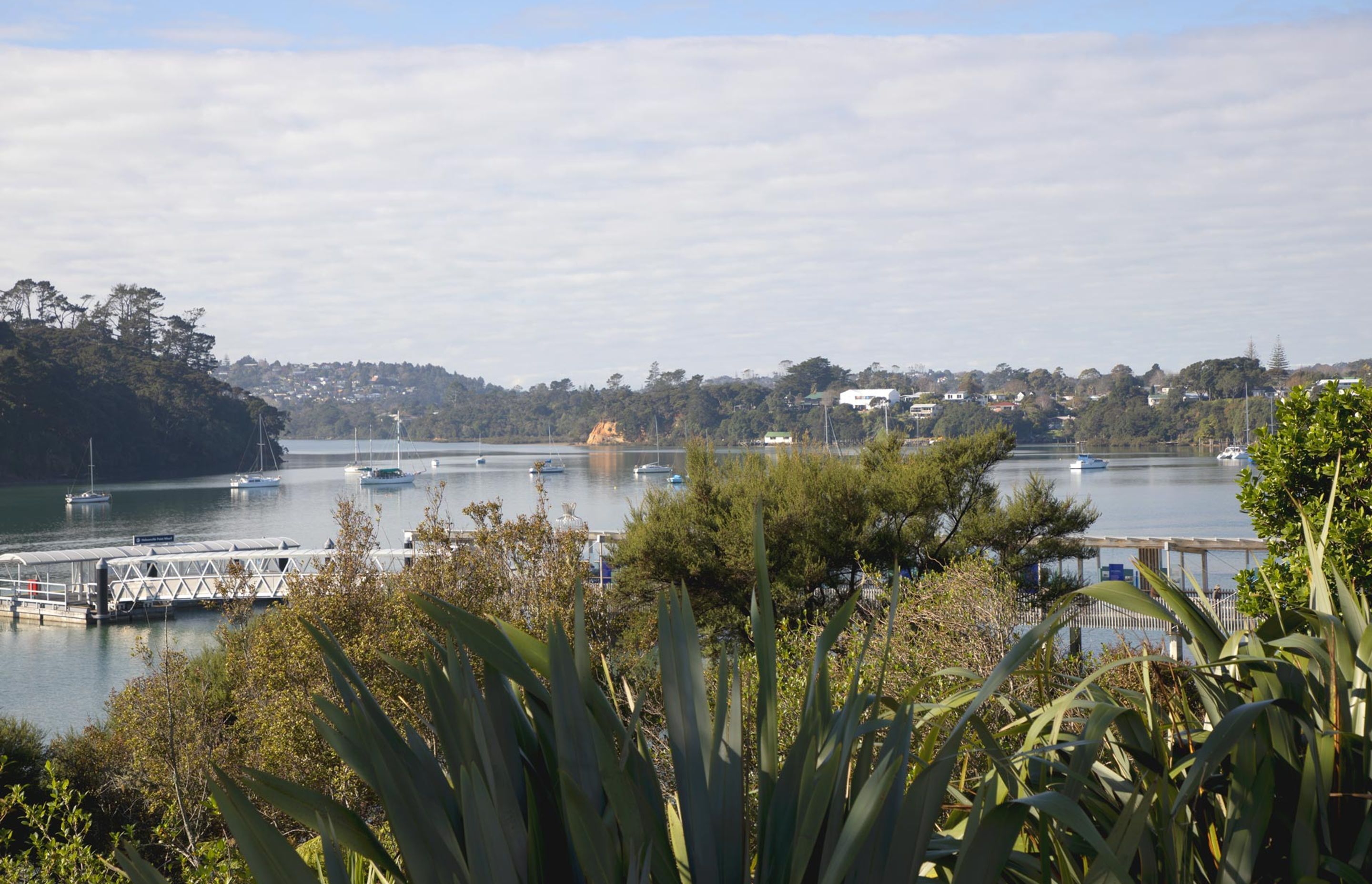hobsonville-point-commercial-garden-maintenance-182A4389.jpg