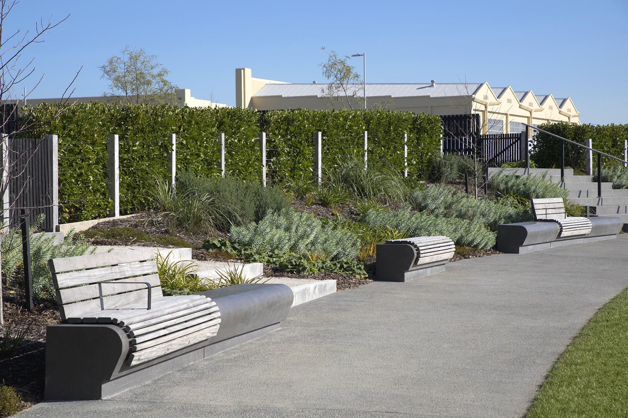 hobsonville-point-commercial-garden-maintenance-182A4405.jpg