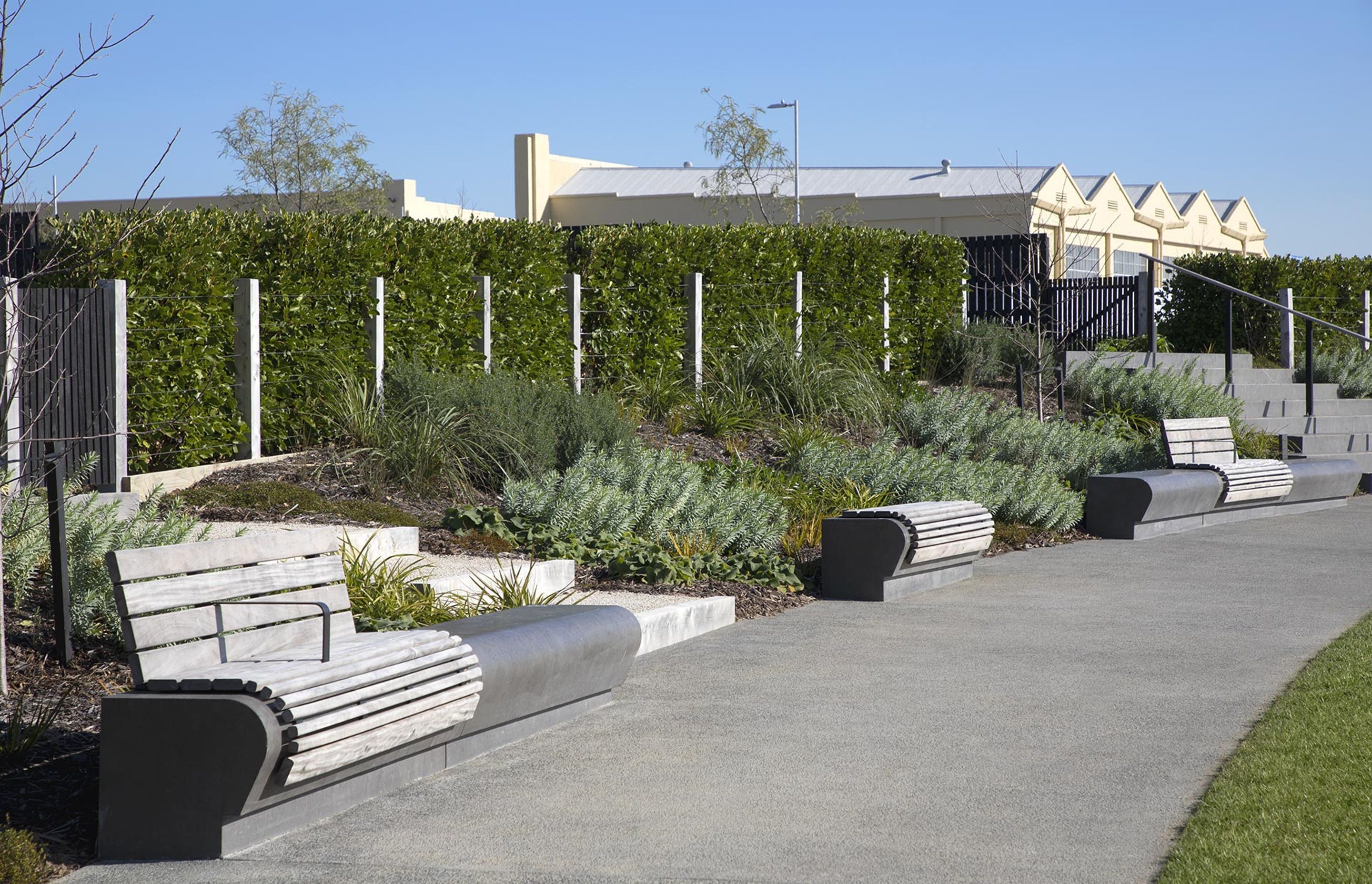hobsonville-point-commercial-garden-maintenance-182A4405.jpg