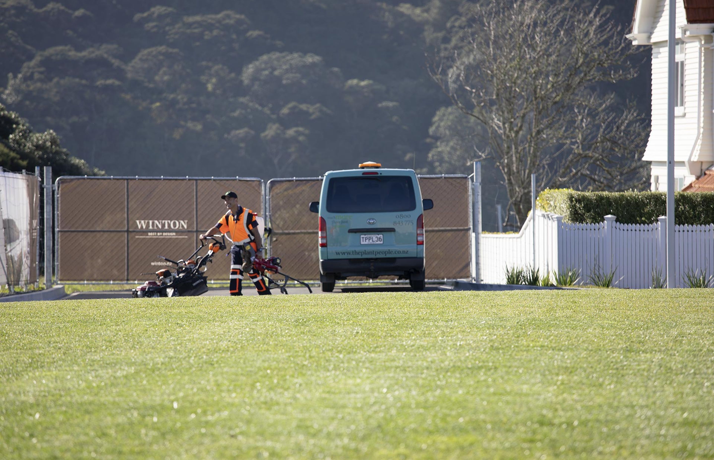 hobsonville-point-commercial-garden-maintenance-182A4415.jpg