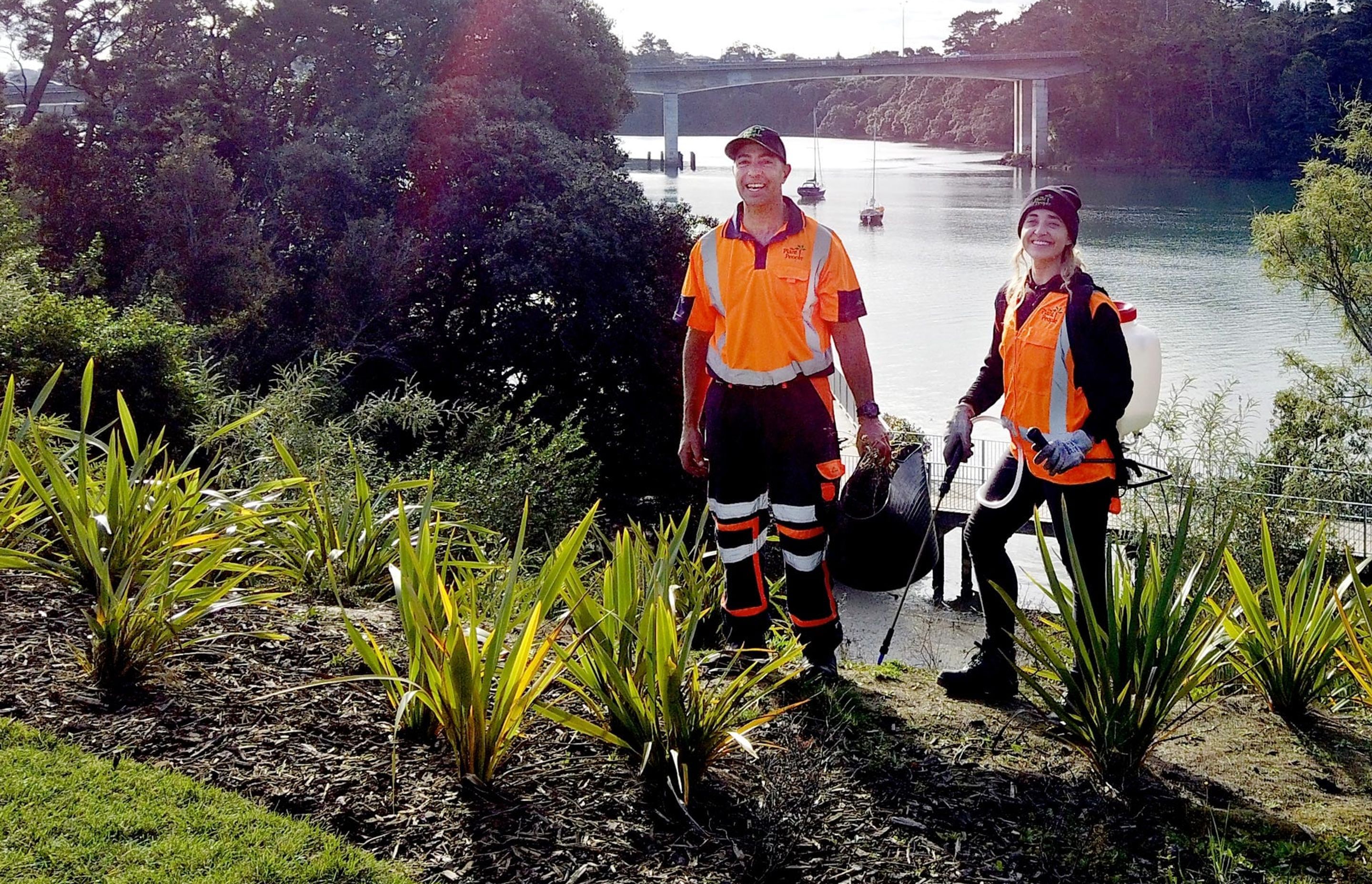 hobsonville-point-commercial-garden-maintenance-DJI0156-v3.jpg