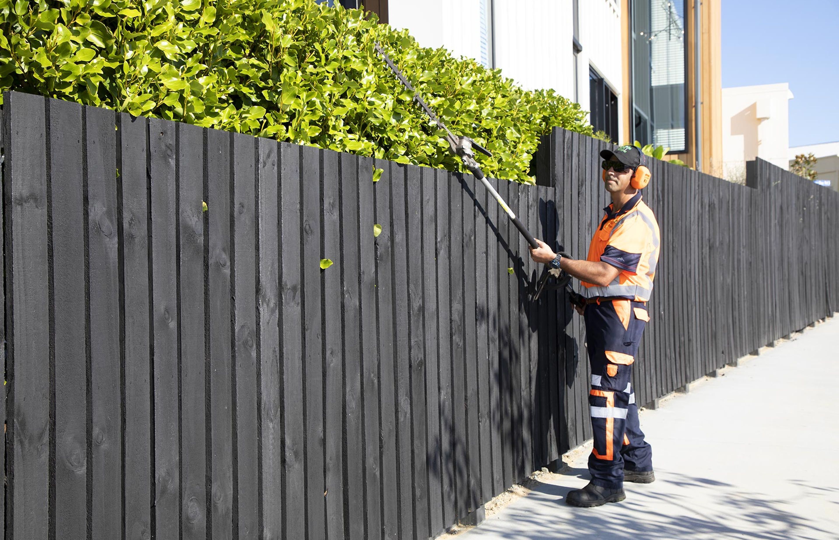 hobsonville-point-commercial-hedge-trimming-182A4435.jpg