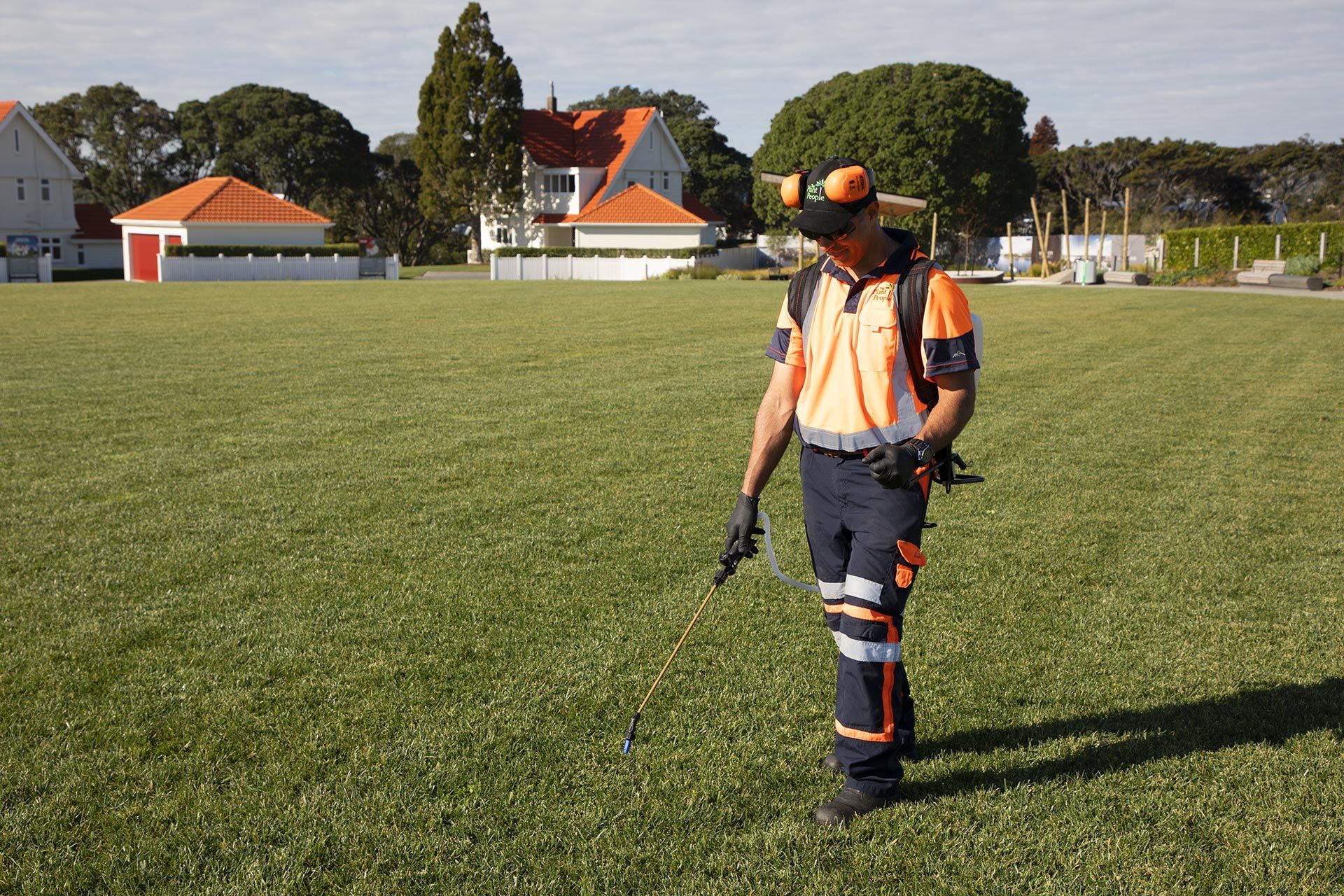 hobsonville-point-commercial-turf-maintenance-182A4445.jpg