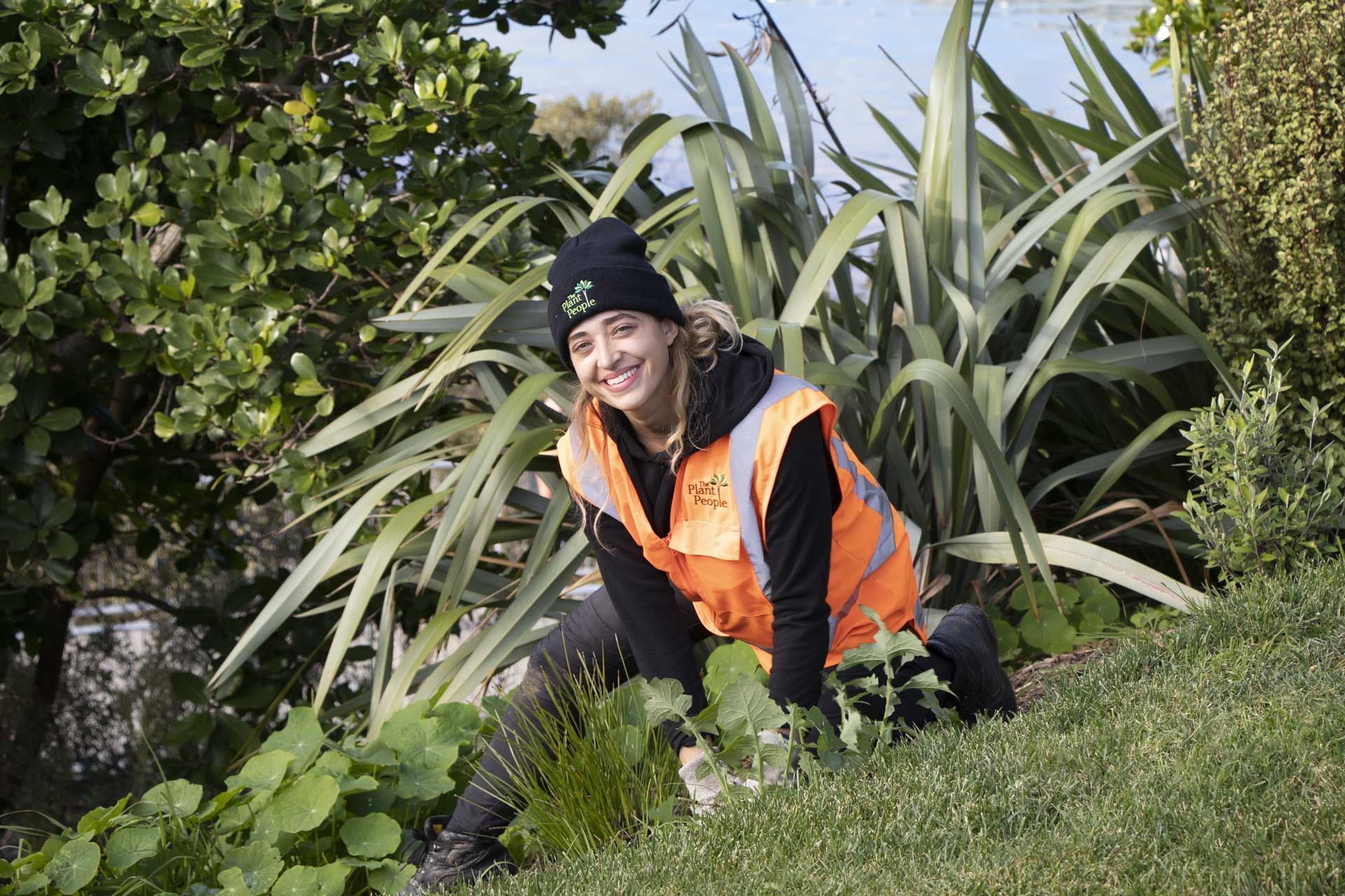 hobsonville-point-weed-control-4420.jpg