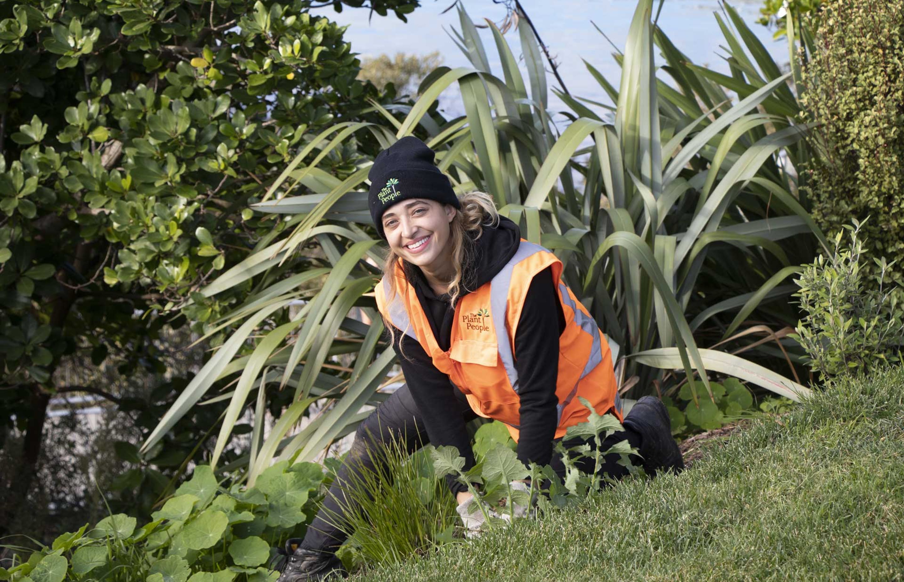 hobsonville-point-weed-control-4420.jpg