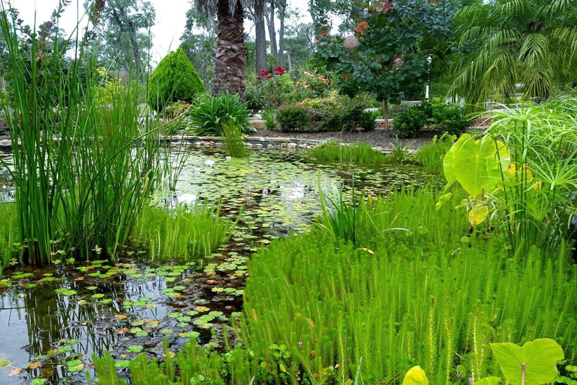 landscapedesignermelbourne.jpg