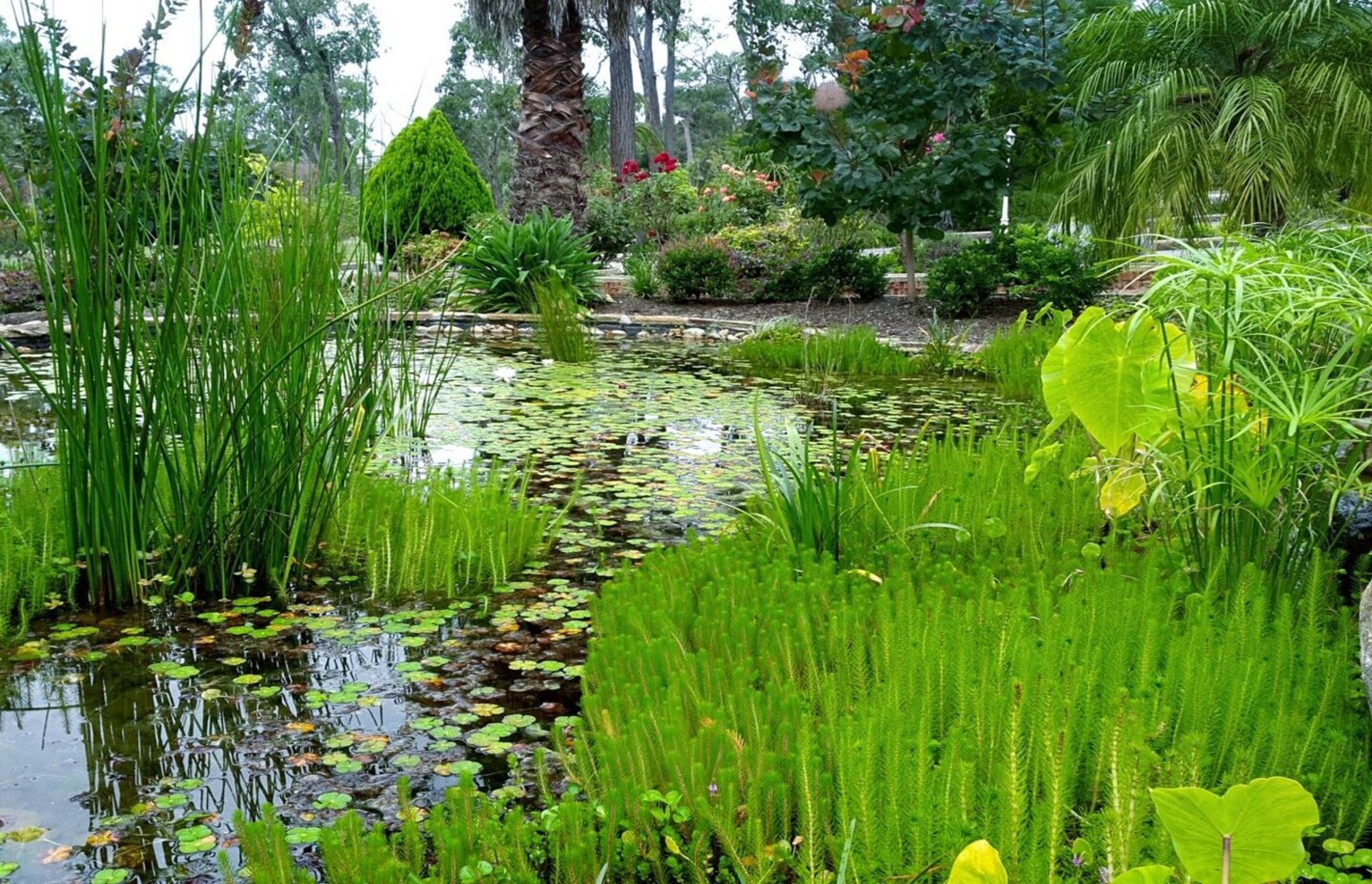 landscapedesignermelbourne.jpg