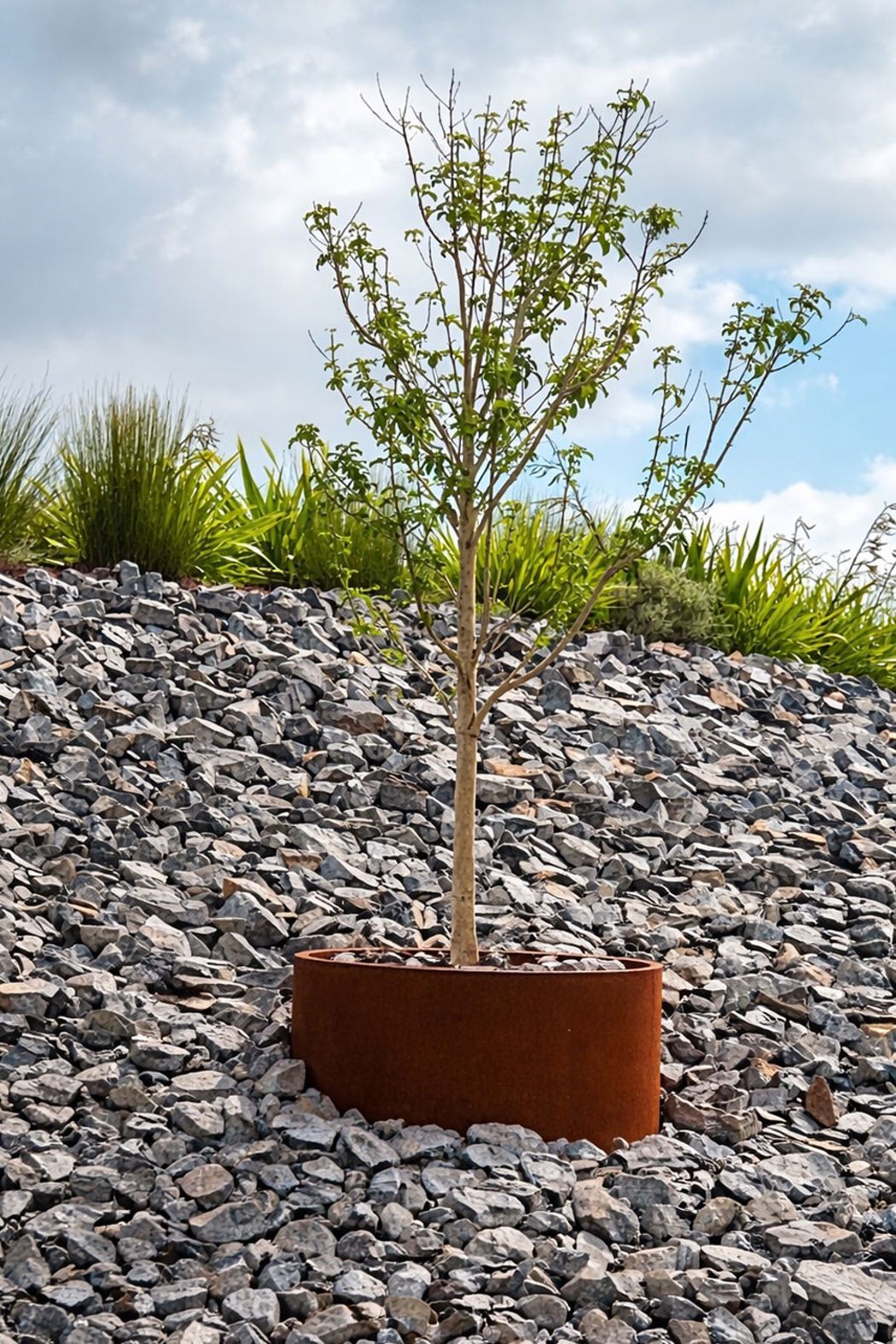 manawa-bay-planter-upgrade-.jpg