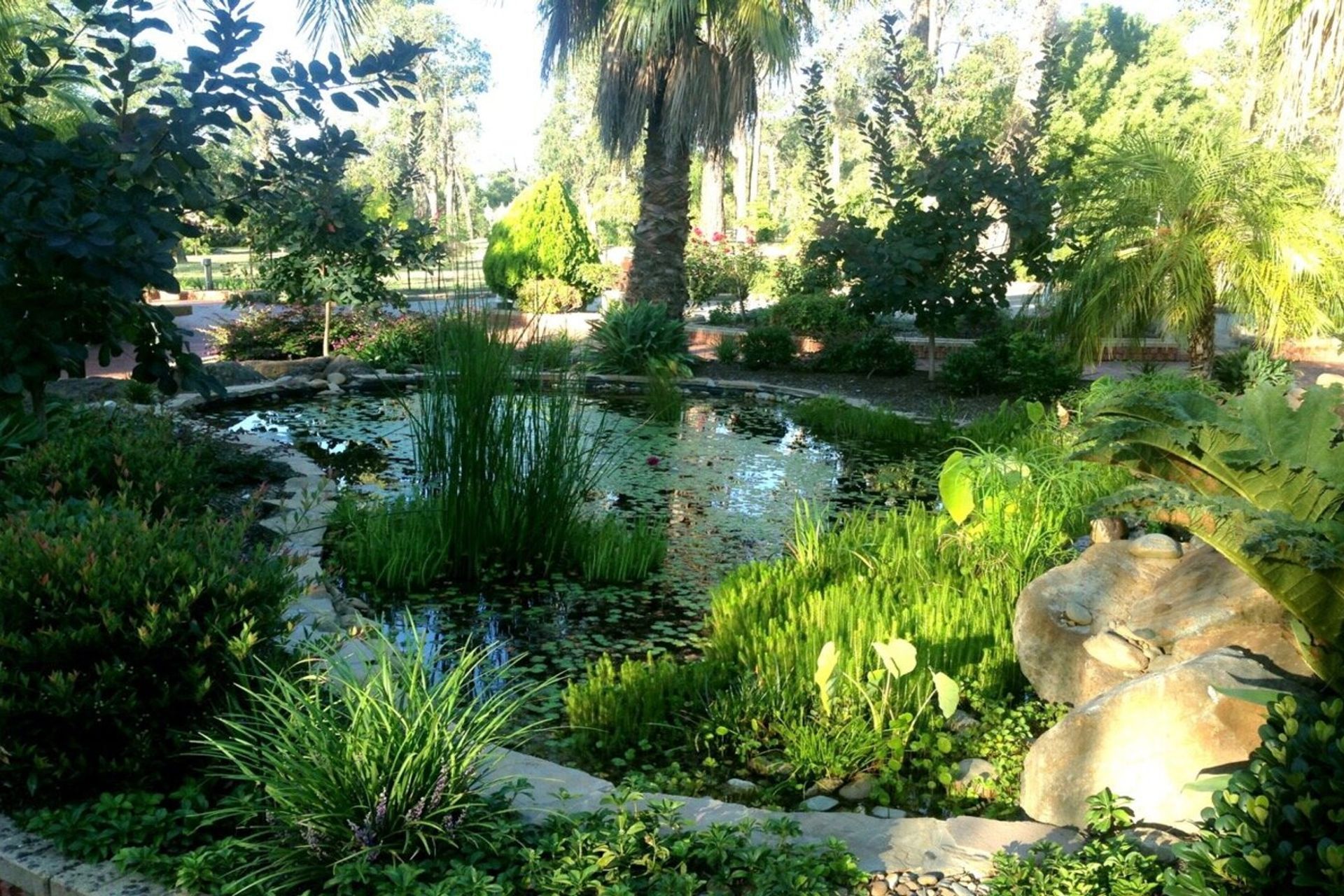 ponddesignmelbourne.jpg