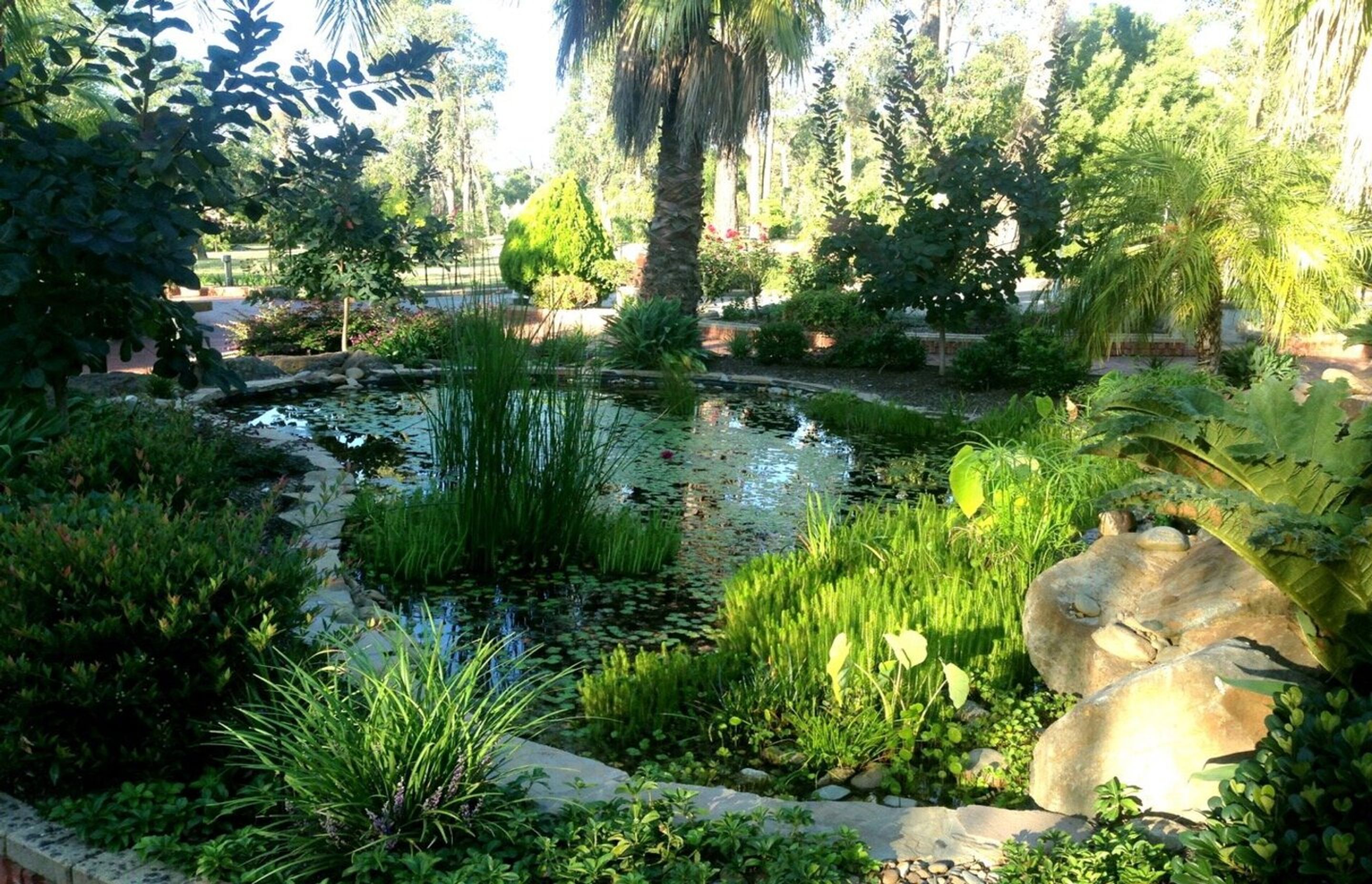 ponddesignmelbourne.jpg