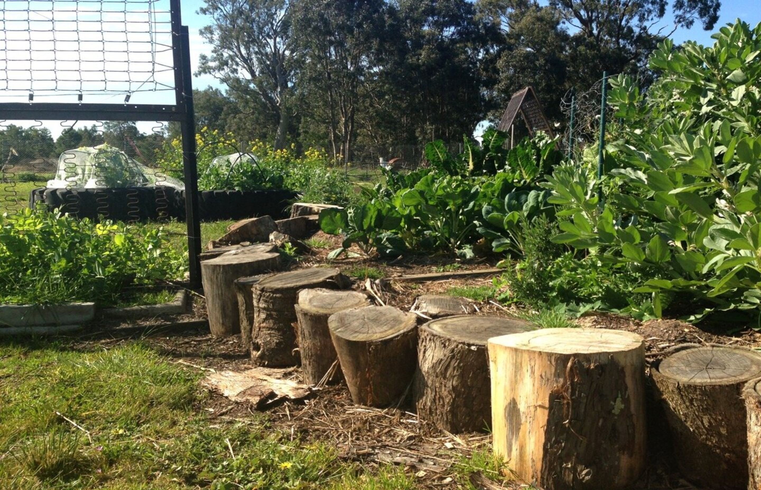 primaryschooldesignaustralia.jpg