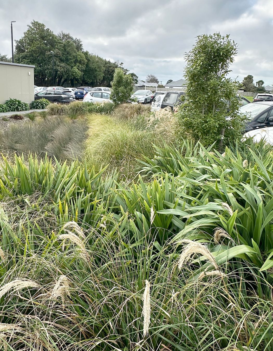 stormwater-basin.jpg