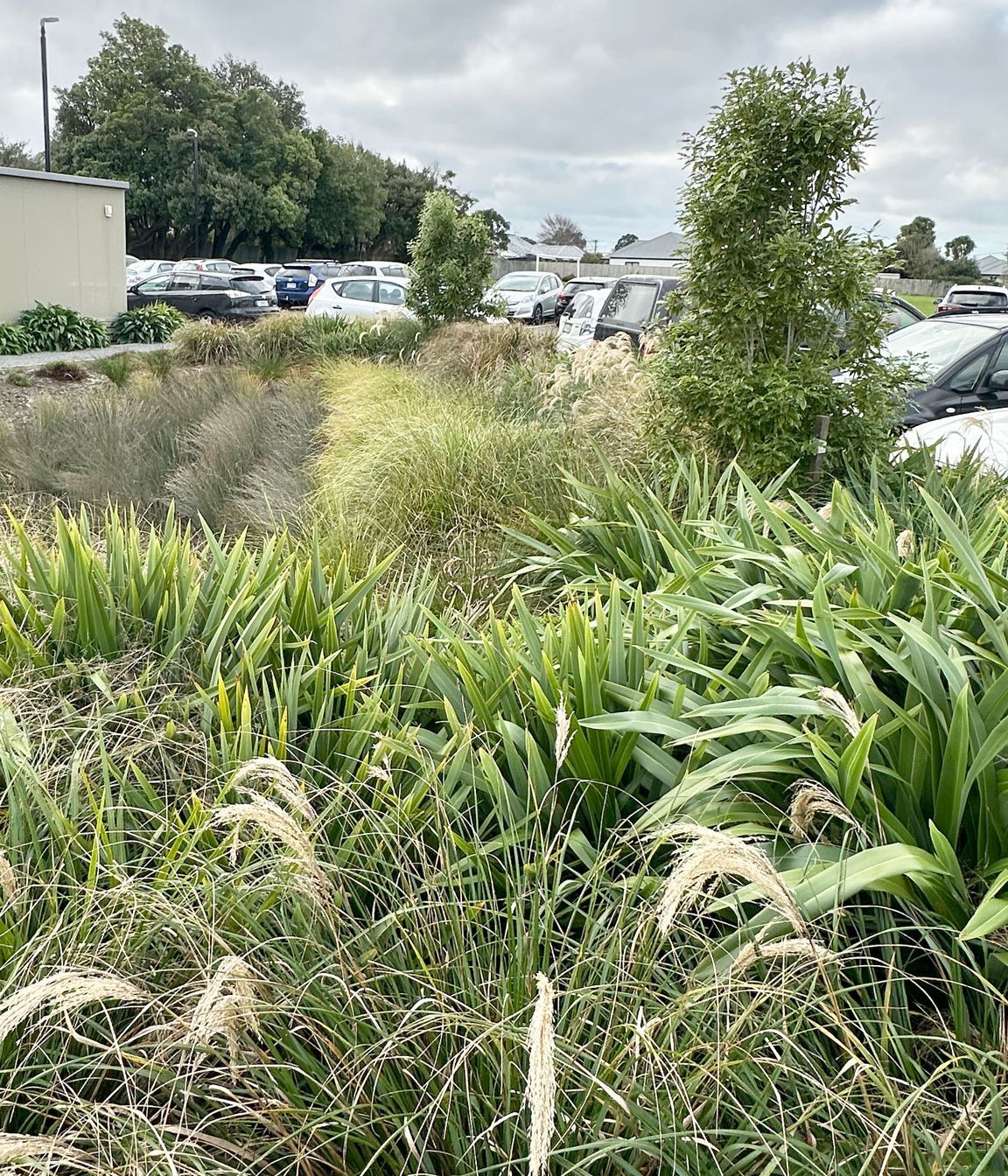 stormwater-basin.jpg