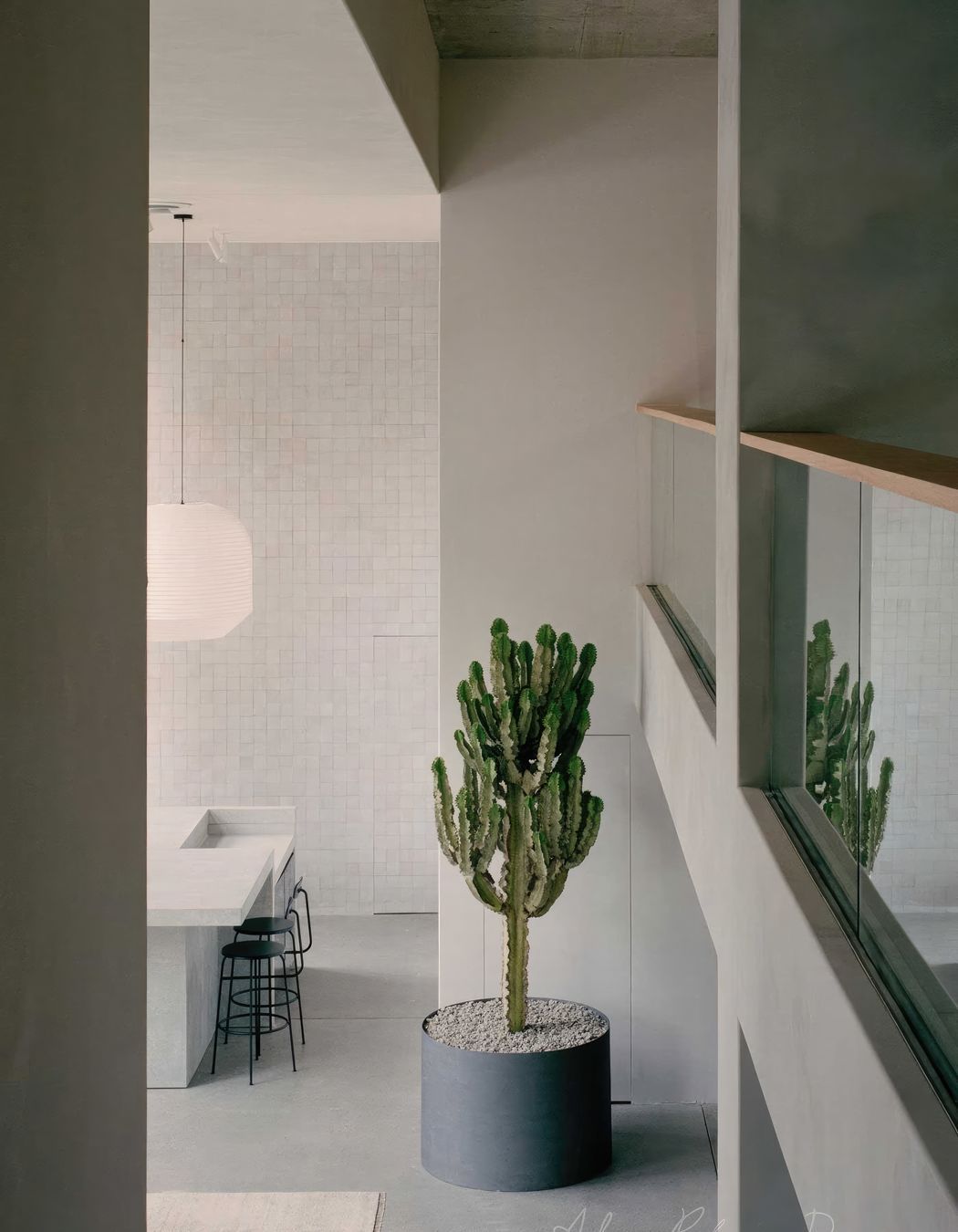 upADAMROBINSONDESIGNArmadilloandCoShowroomRushcuttersBay02-fix-standard-scale-200x.jpg