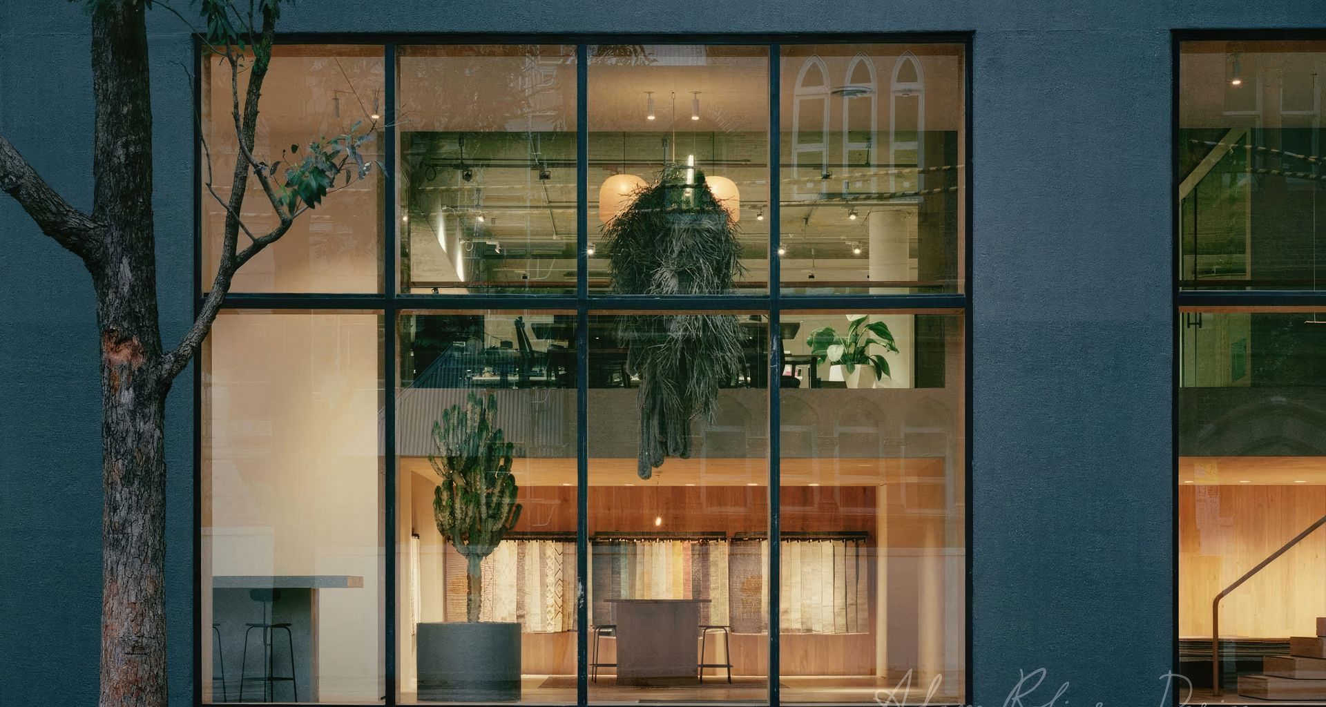 Armadillo & Co. Showroom banner