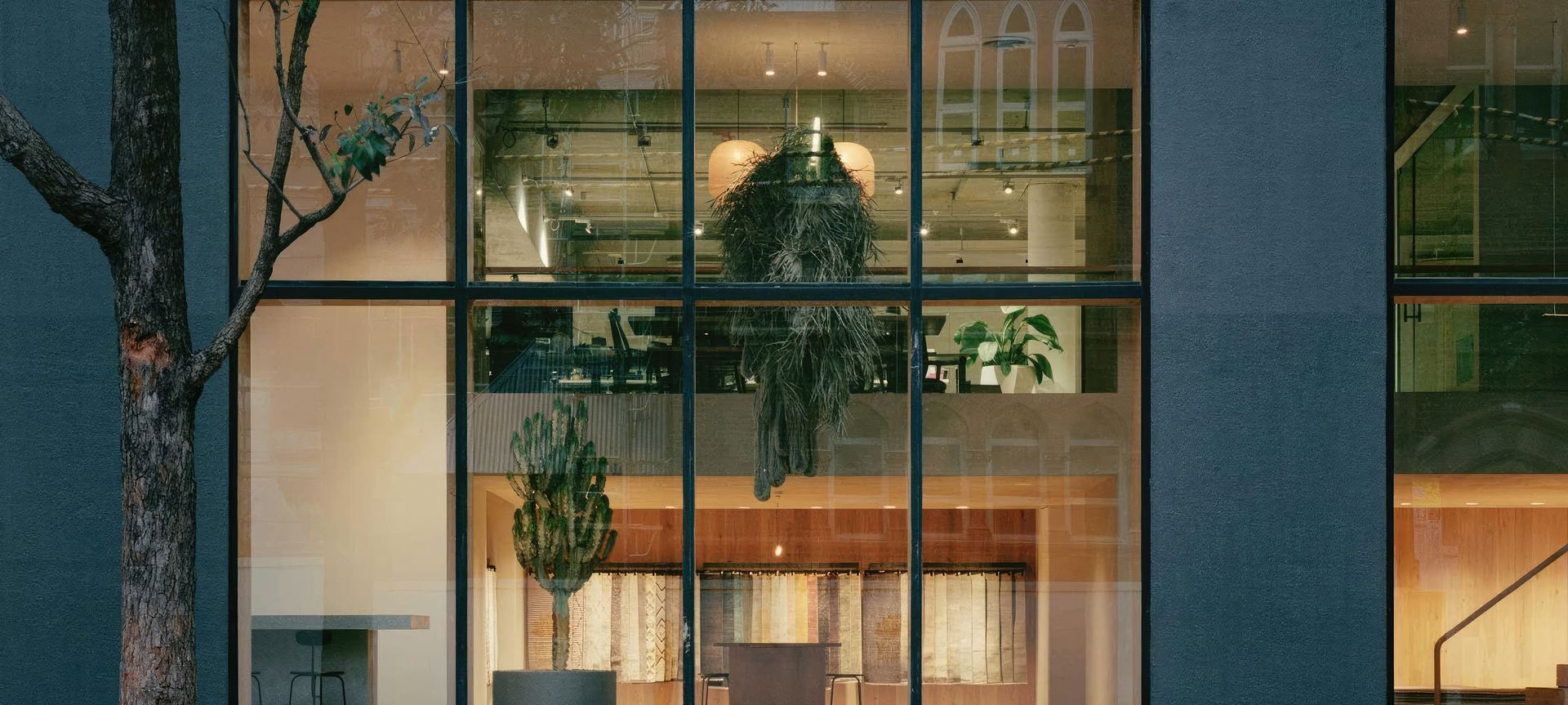 Armadillo & Co. Showroom banner