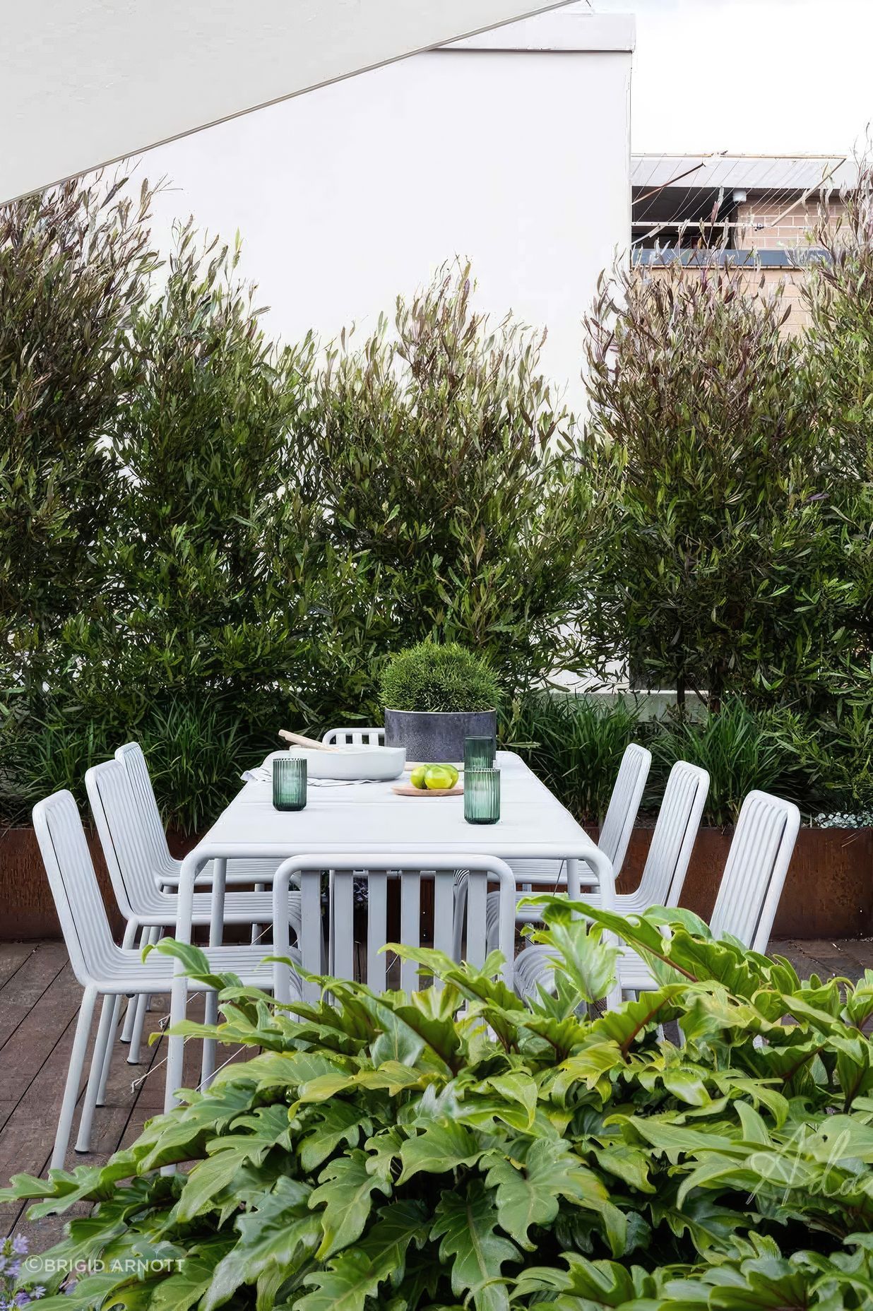 upADAMROBINSONDESIGNLandscapeDesignRooftopGardenSydneyPyrmont4144-fix-standard-scale-200x-v3.jpg